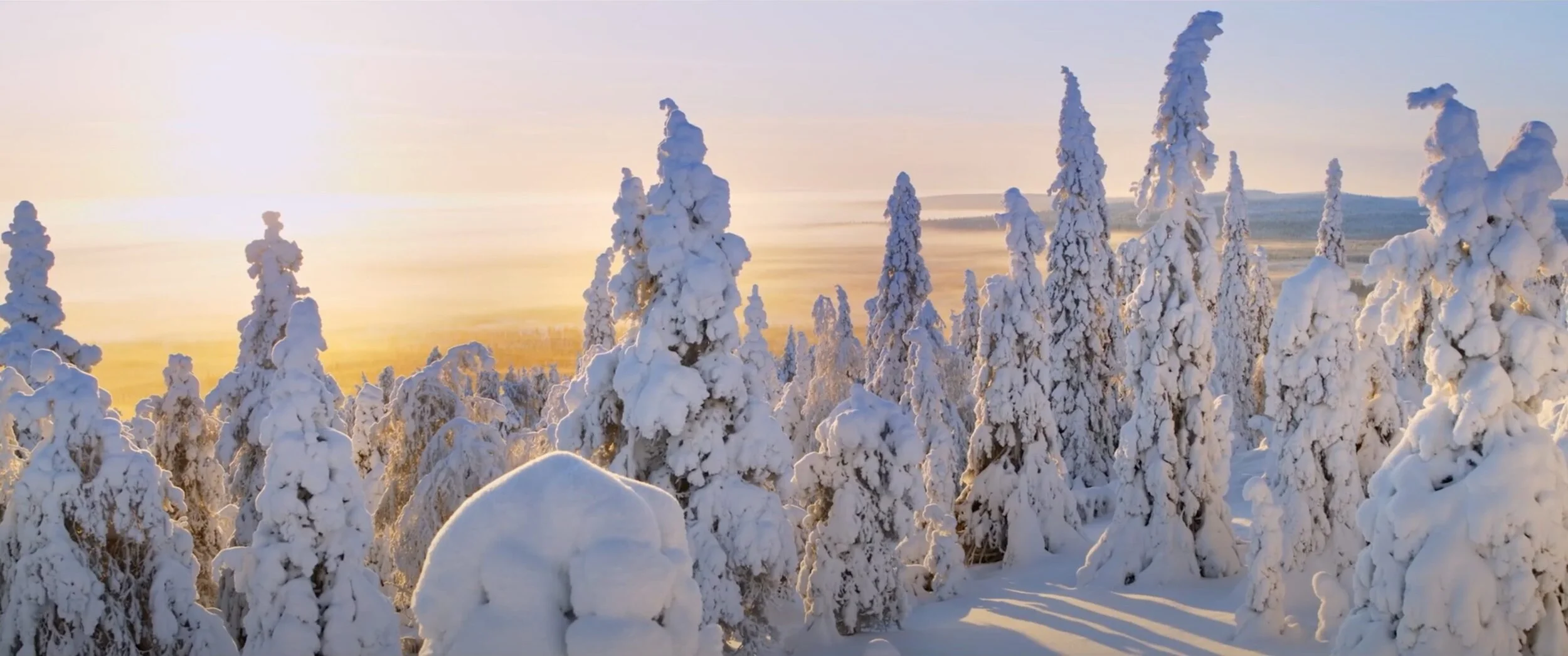 VR: Junalla on turvallista matkustaa jouluna