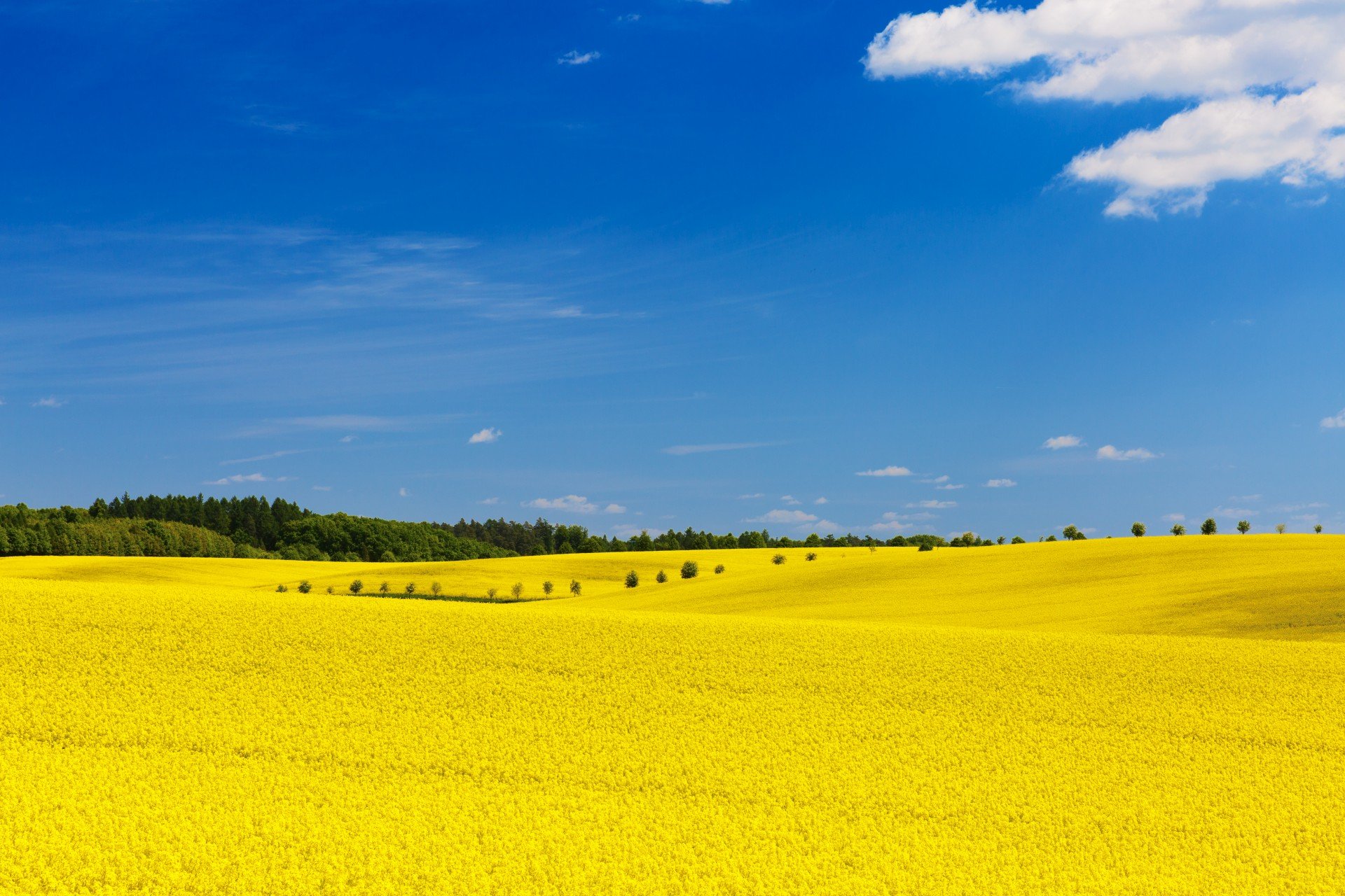 Rautatiealan Unioni RAU lahjoitti 10.000 euroa ukrainalaisille
