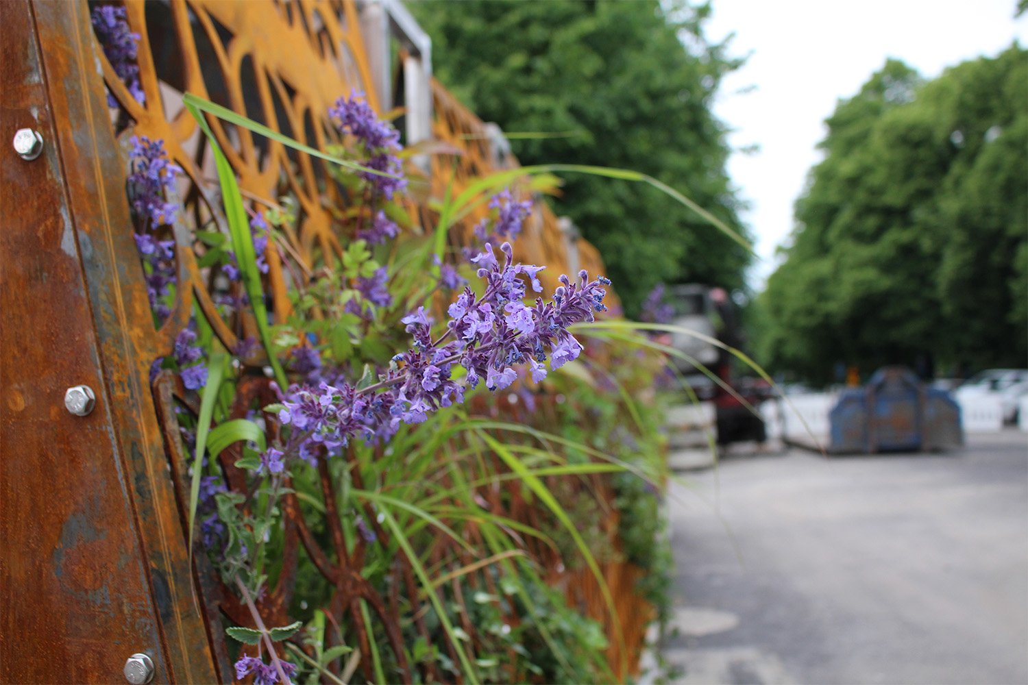 Kaupunkiliikenne: Viherseinät ja -katot ihastuttavat kesällä Mannerheimintiellä ja Herttoniemen metroasemalla