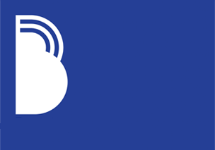BOOTSTRAP LOGO.png