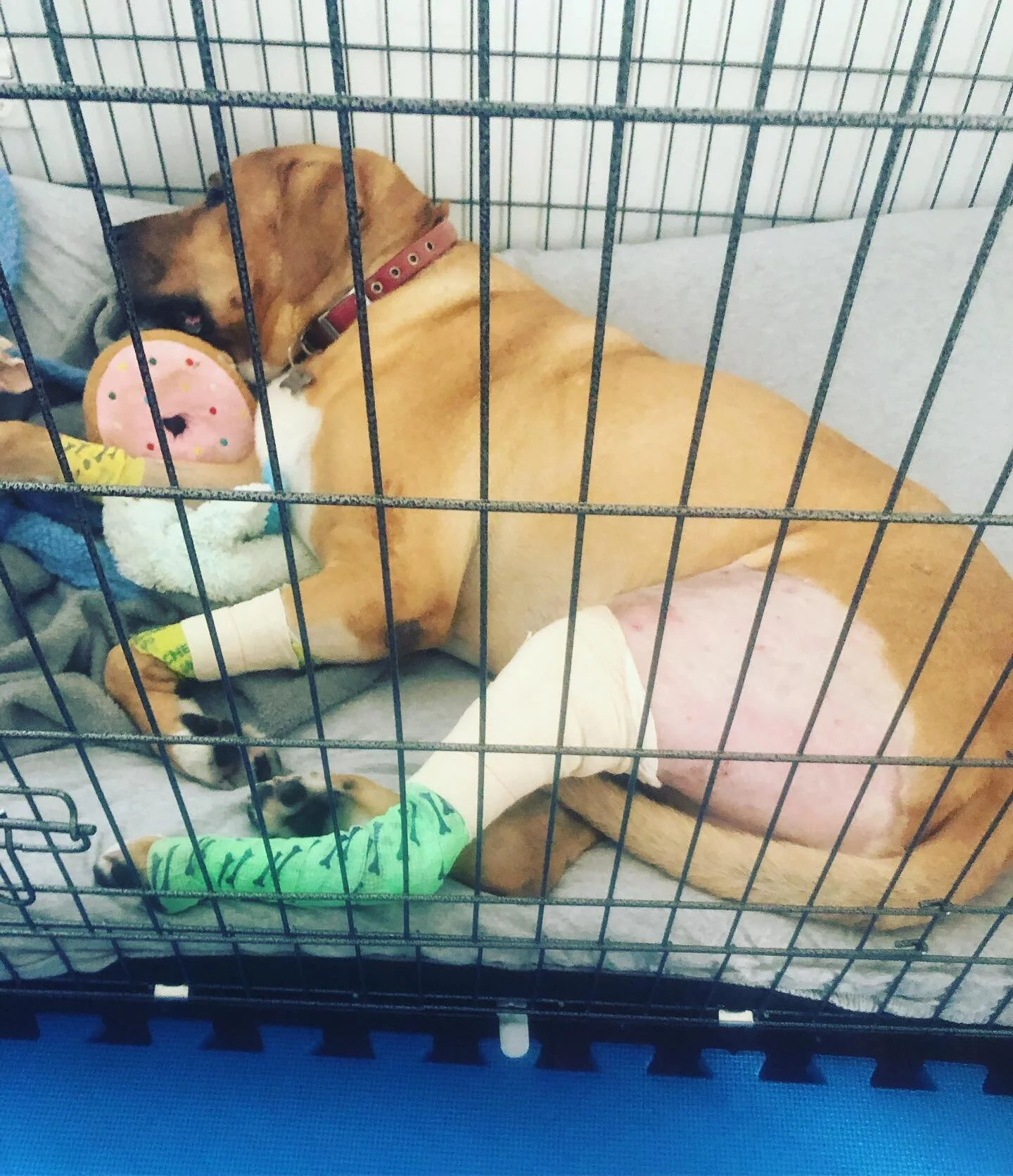 Just add this to the list!  He ruptured his ACL, I ruptured my bank account. Sleep deprivation training has begun.