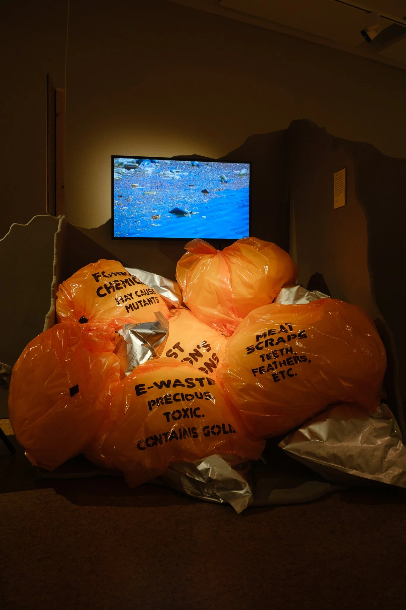DSCF4964.jpg