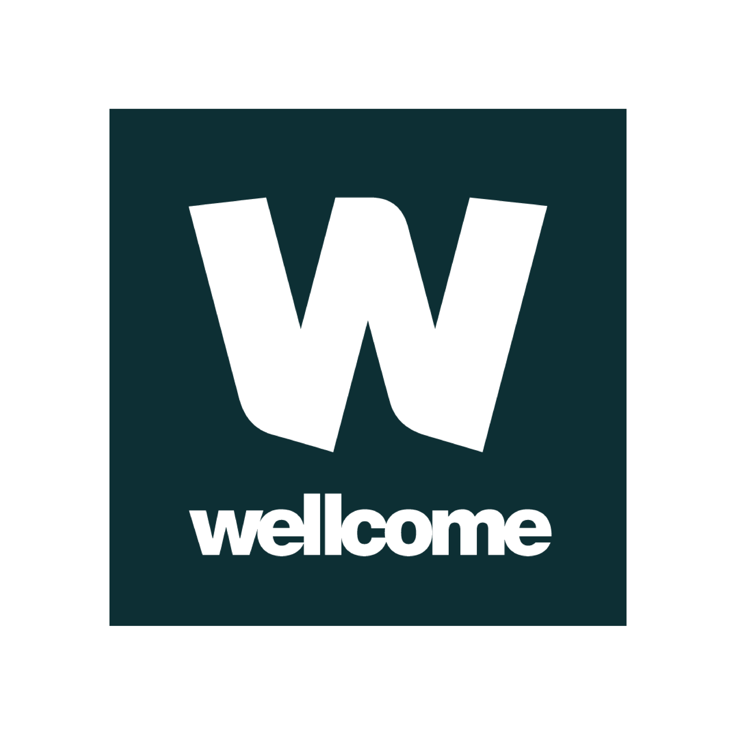 LS_Website Partner Logos-01.png