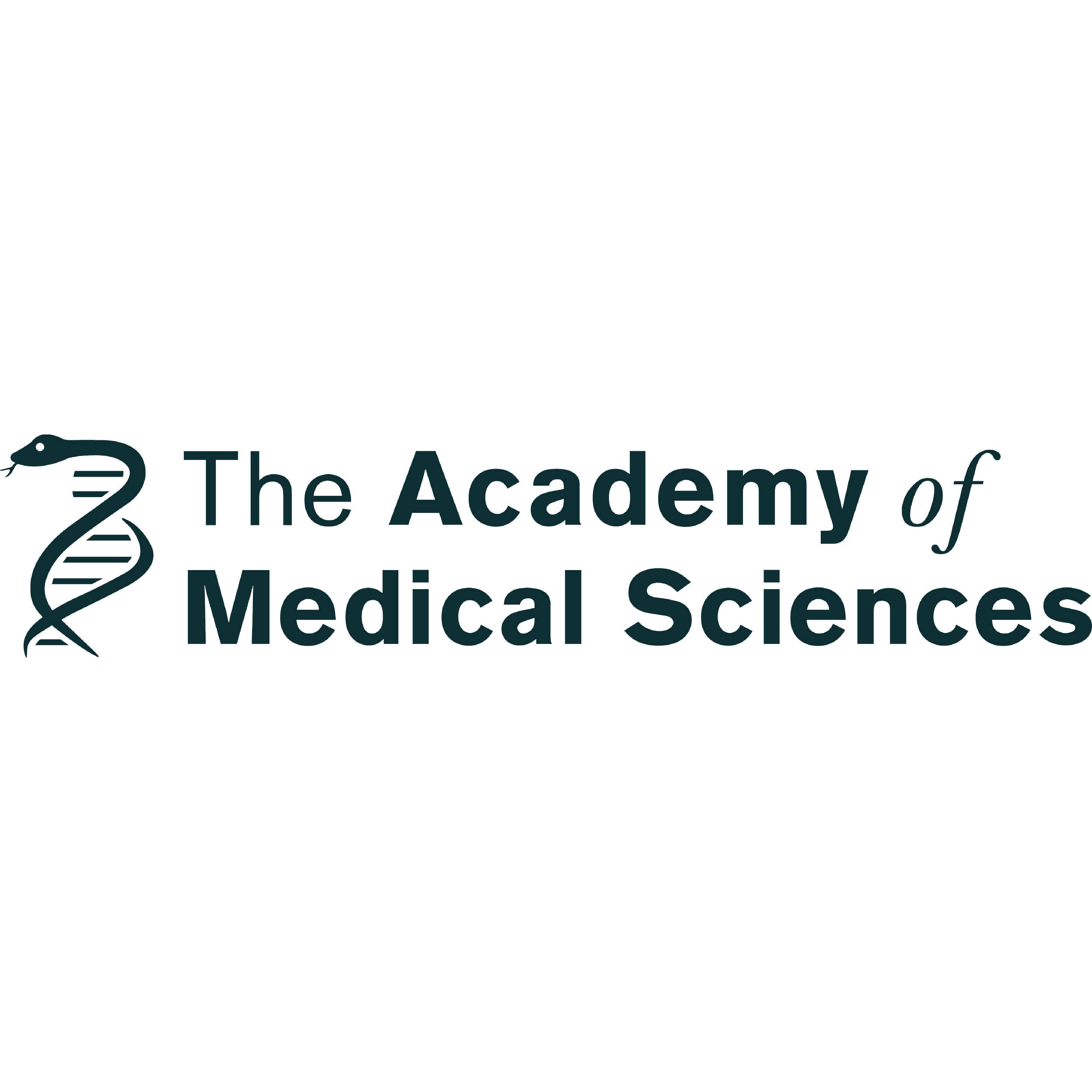 LS_Website Partner Logos-21.png