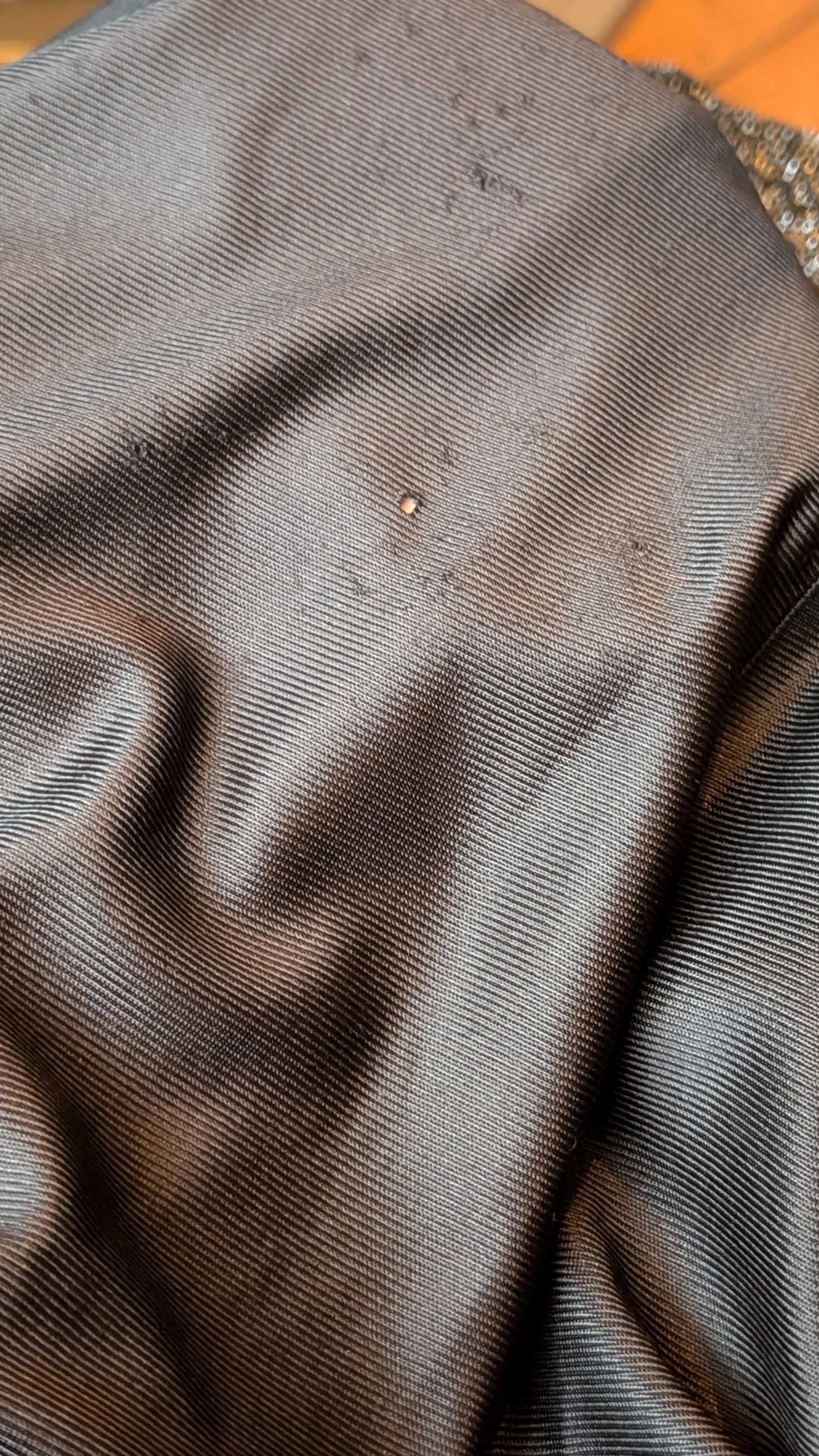 PXL_20251129_152448834.jpg