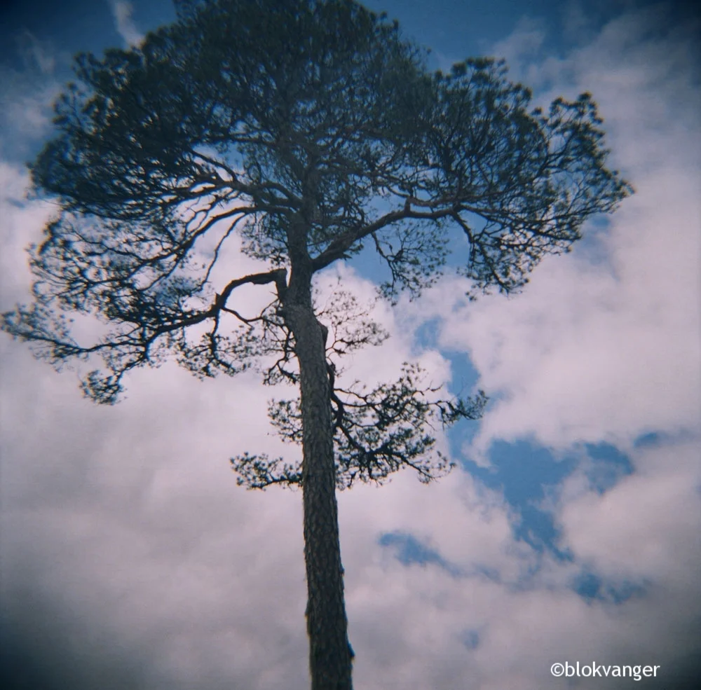 dreamscape 1
