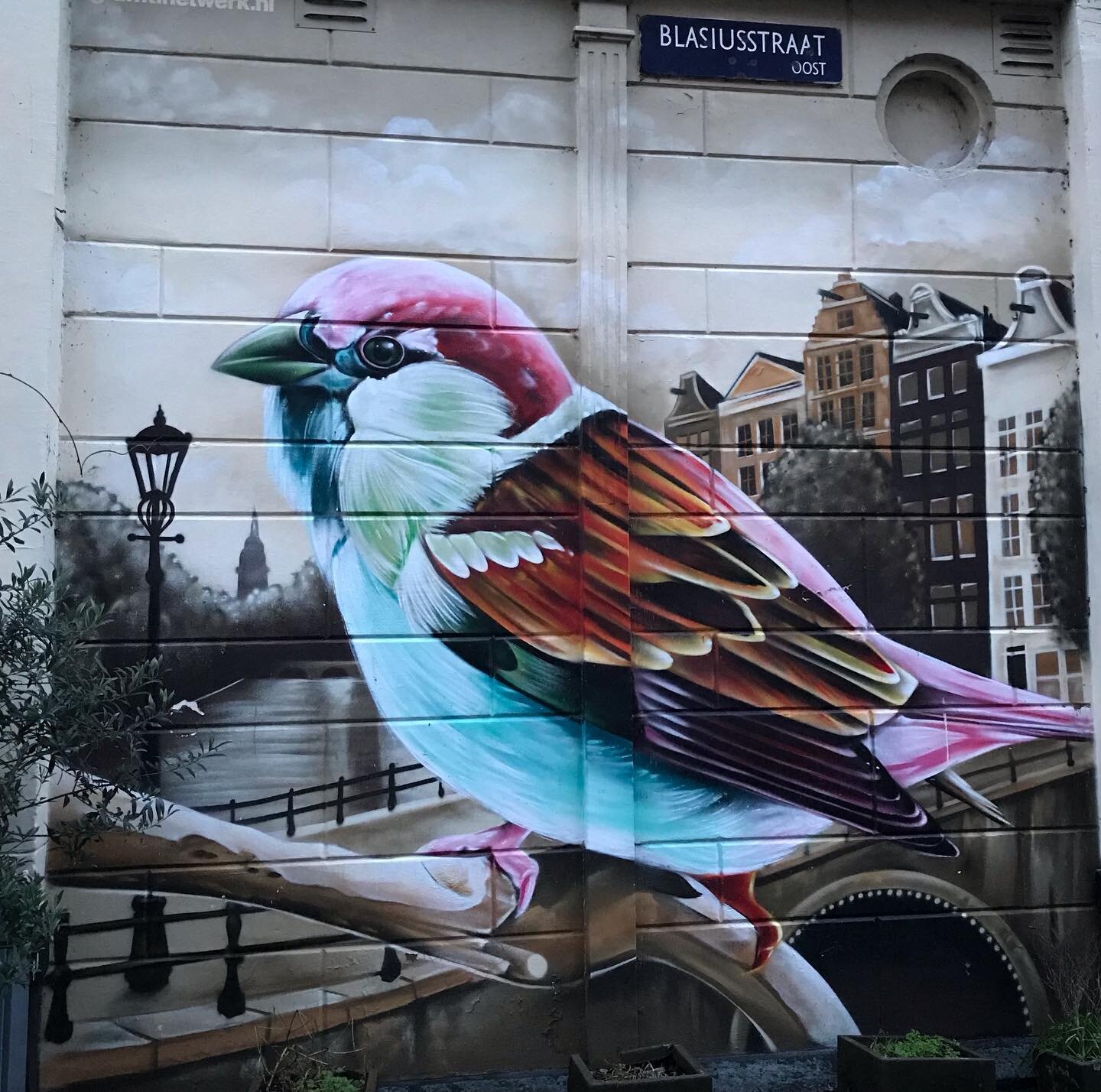 #mus #amsterdam #amsterdamoost #mural #straatkunst #birds
