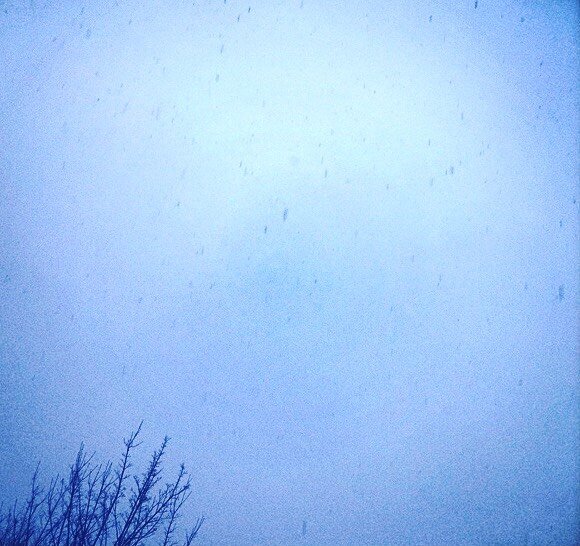 #sneeuw #snow #🌨️ #❄️ #winter #grey