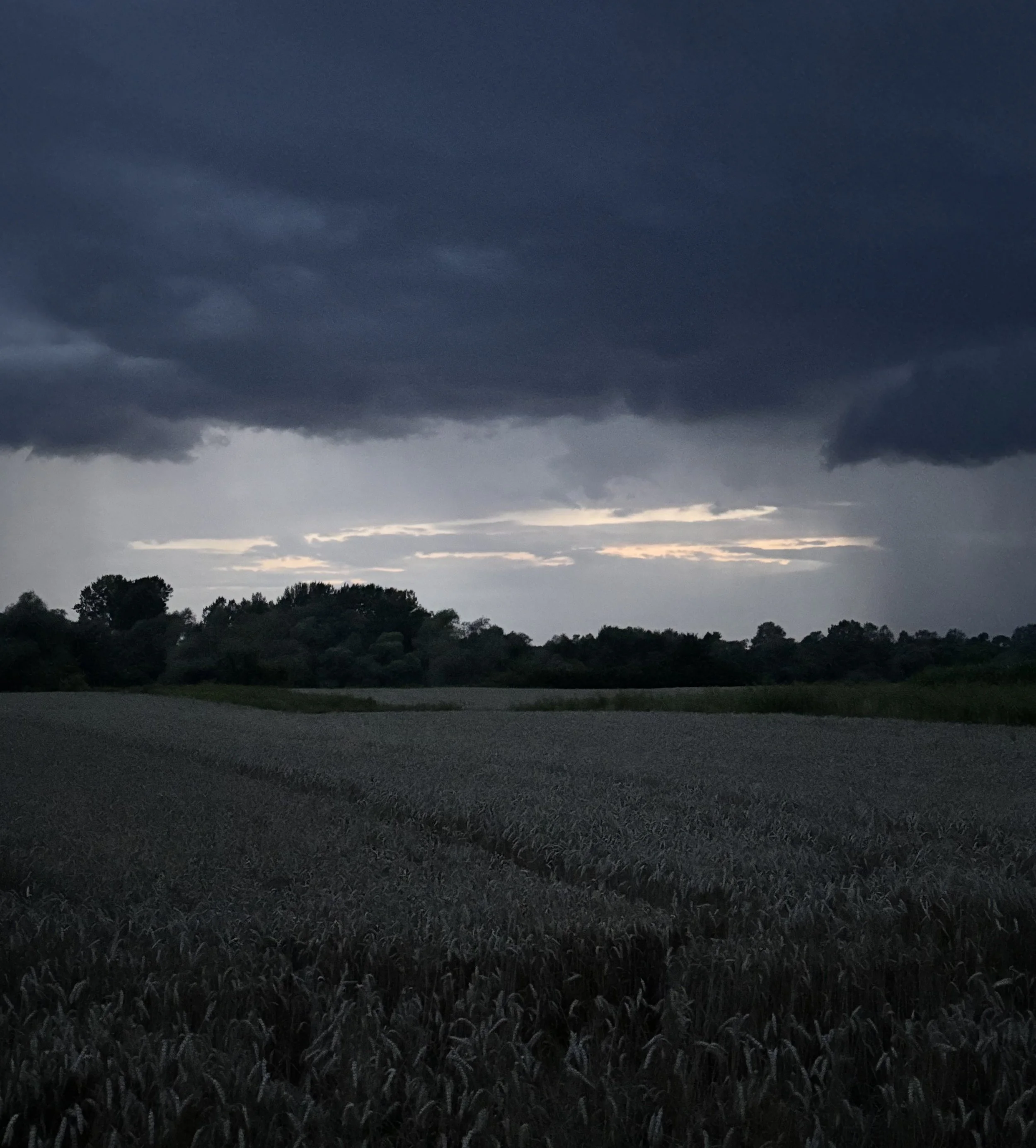 before the rain.jpeg