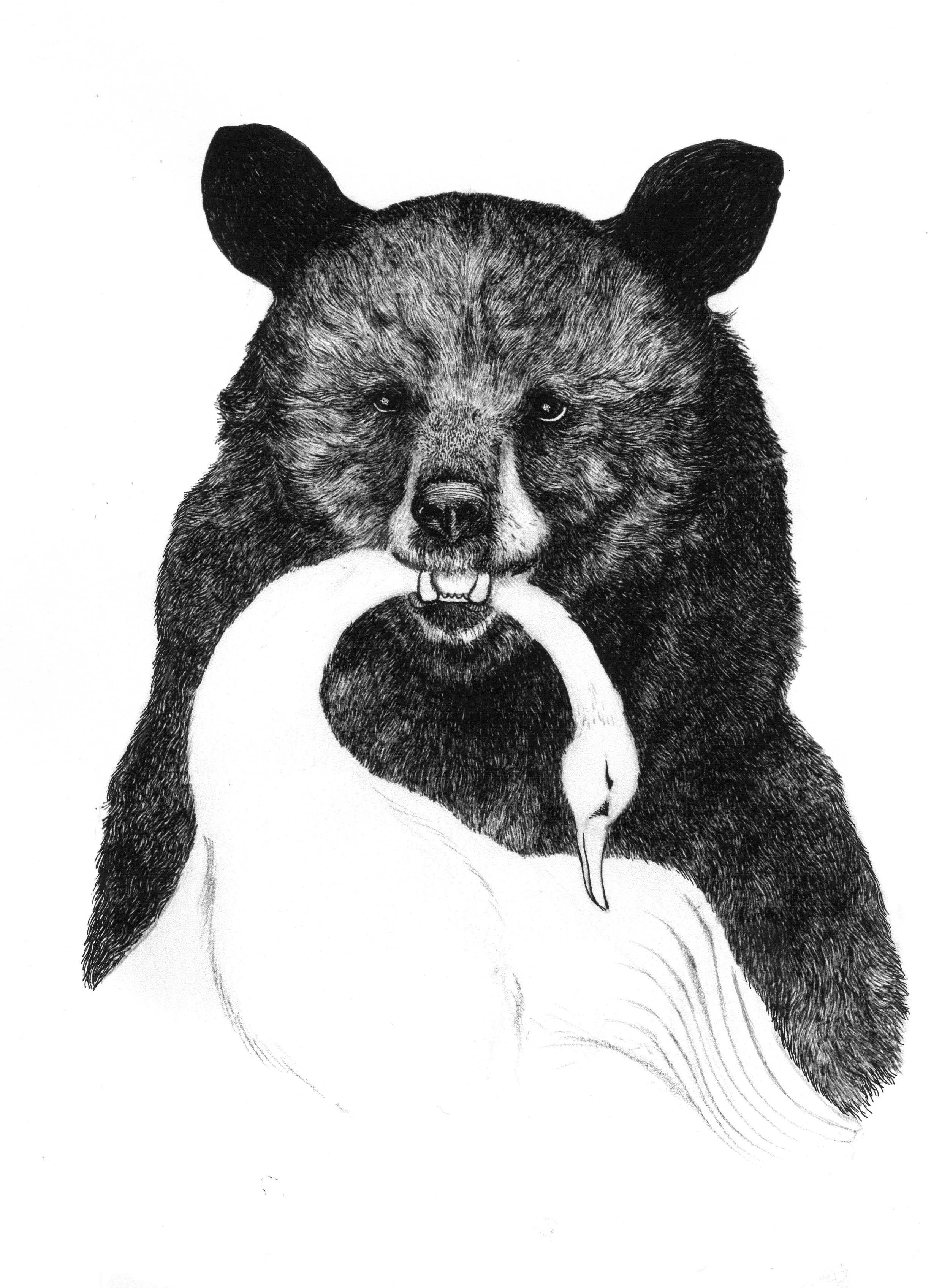 Zosienka+BFL+bear+swan.jpeg
