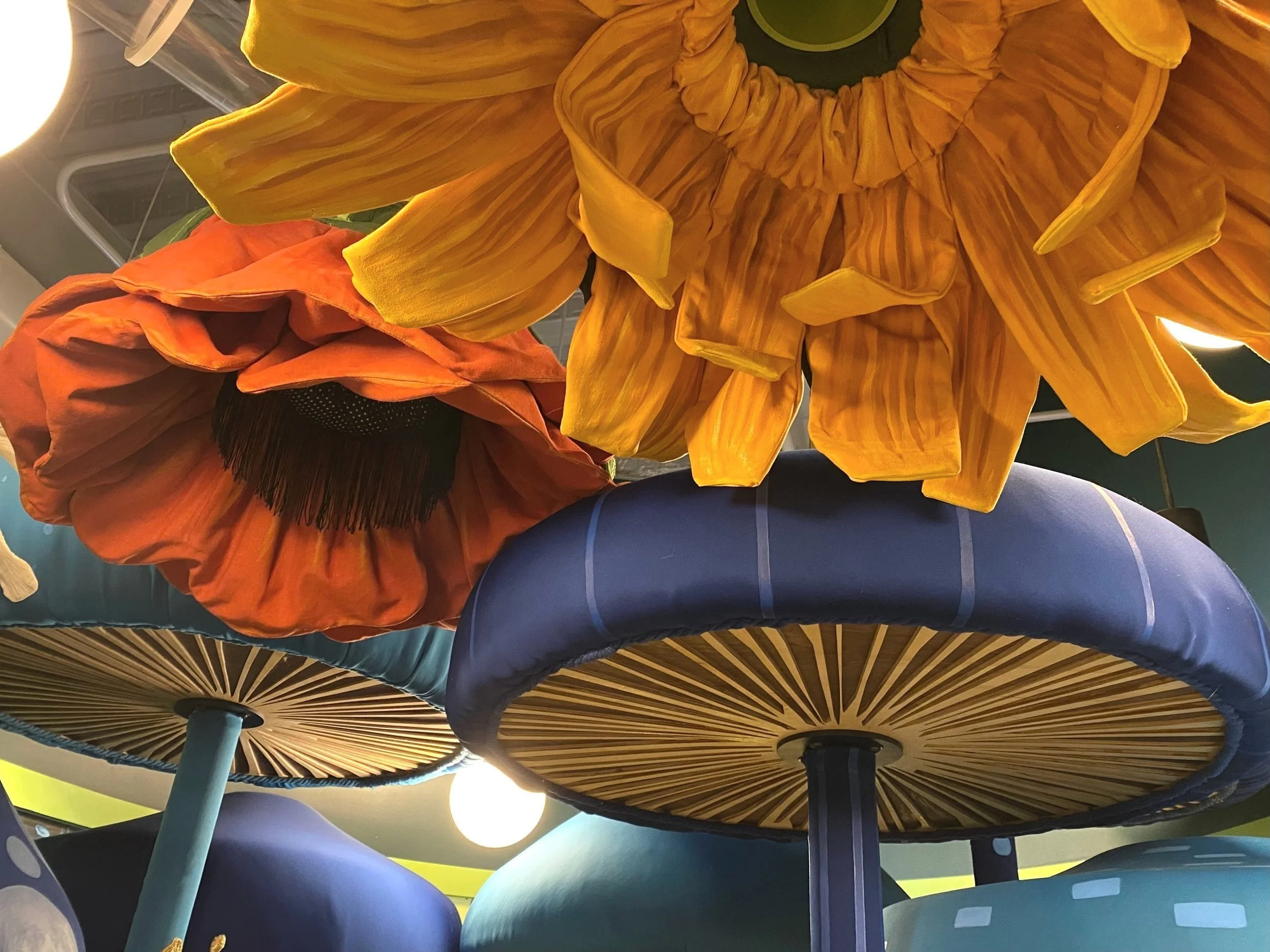 Bloom