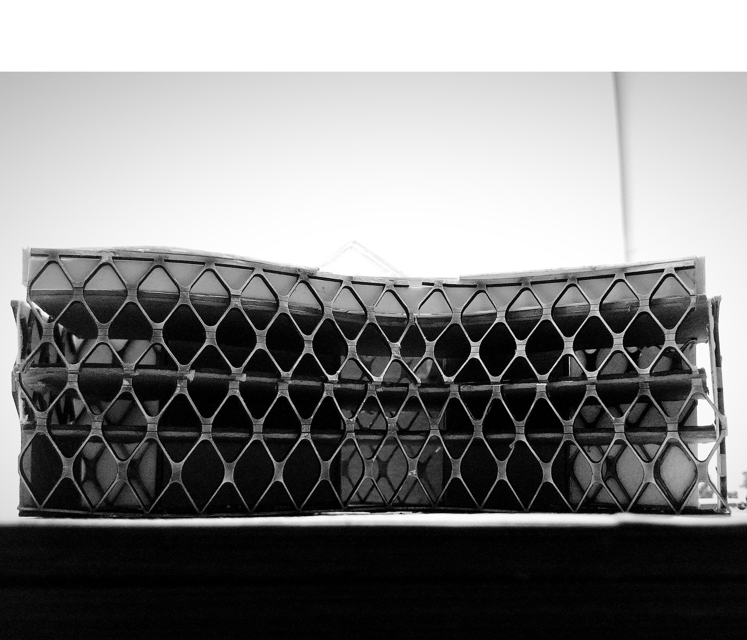 bw-phase-2-image-crop.jpg