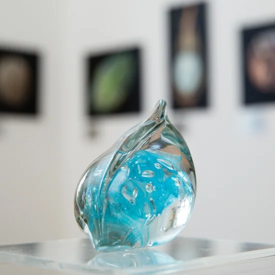 'Looking Glass Seed Pod', Blown glass, 10 x 15 x 7cm