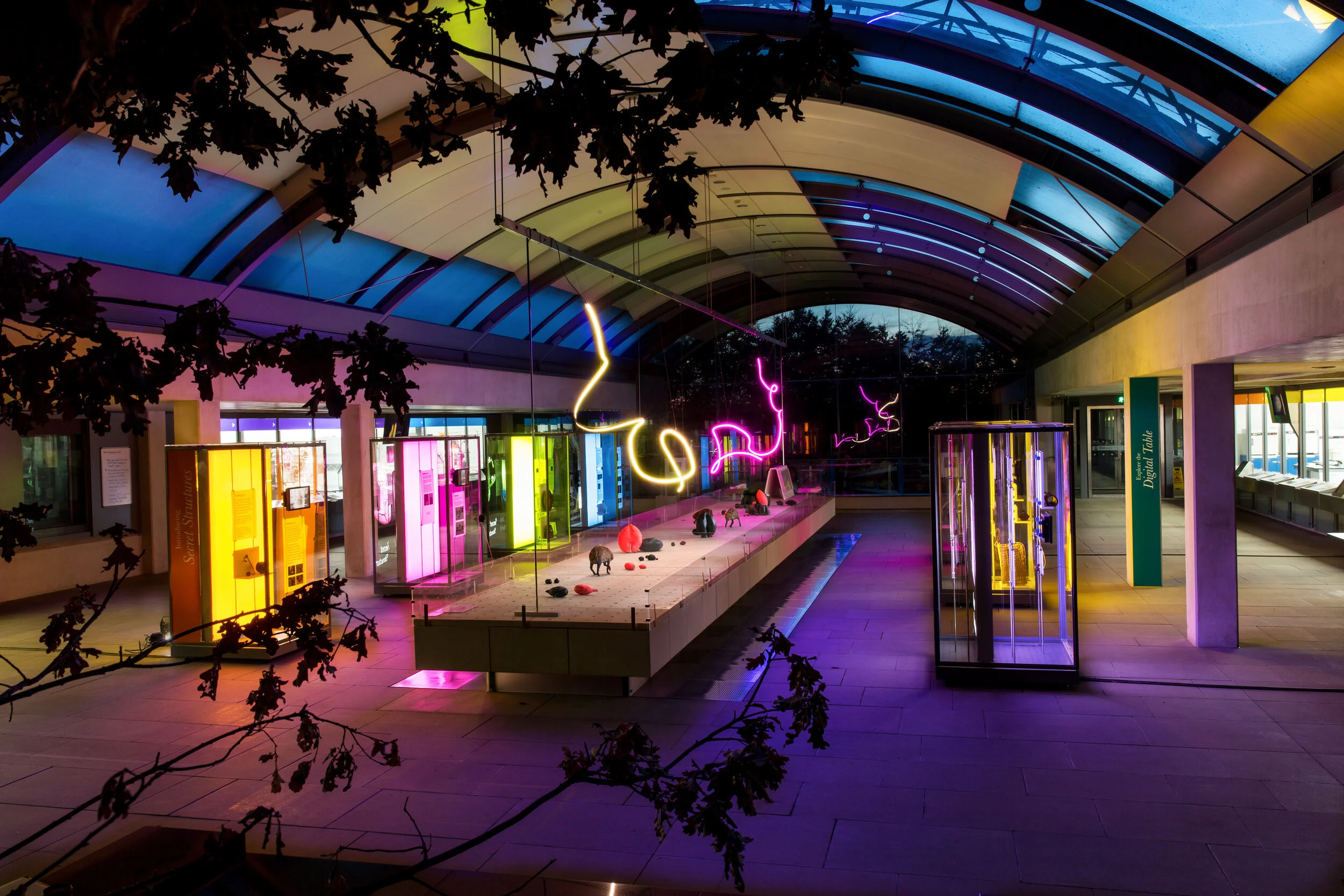 Flightpath Installation View