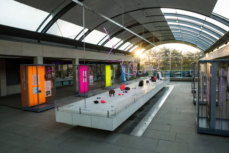 Flightpath Installation View with Sunset