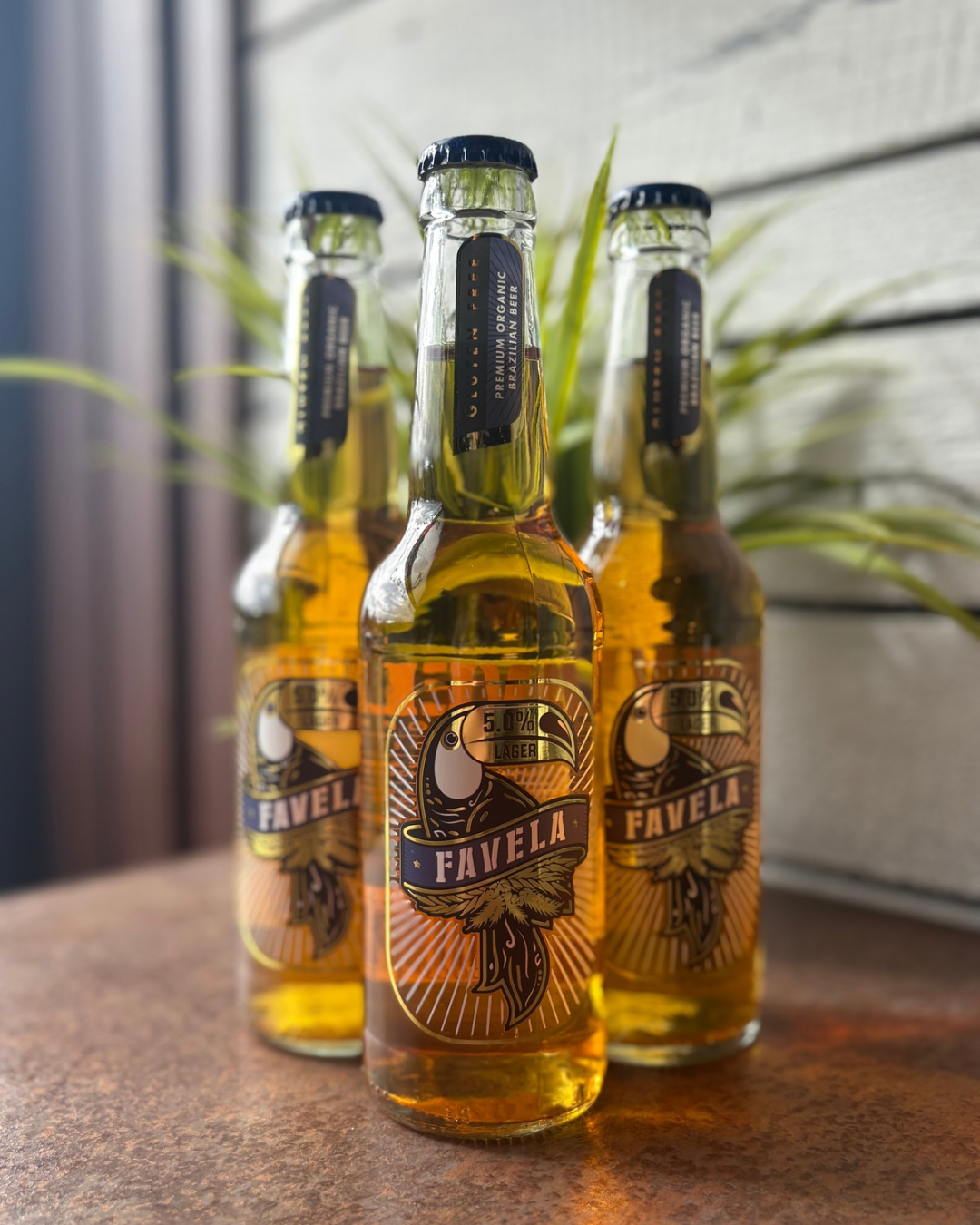 Untitled design 8.PNG