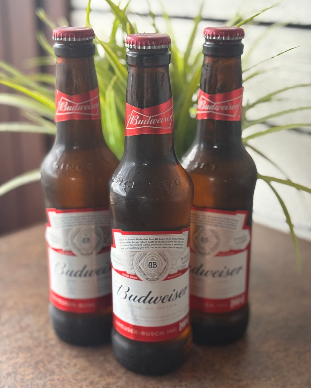 Untitled design 14.PNG