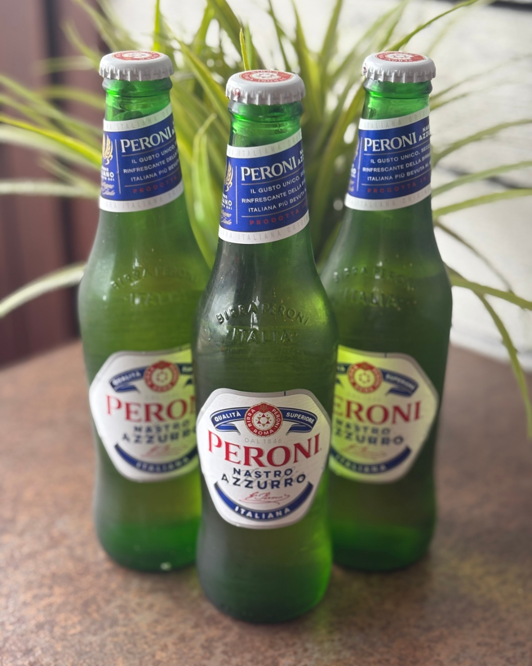 Untitled design 13.PNG