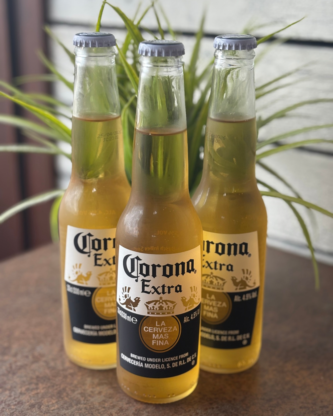 Untitled design 12.PNG