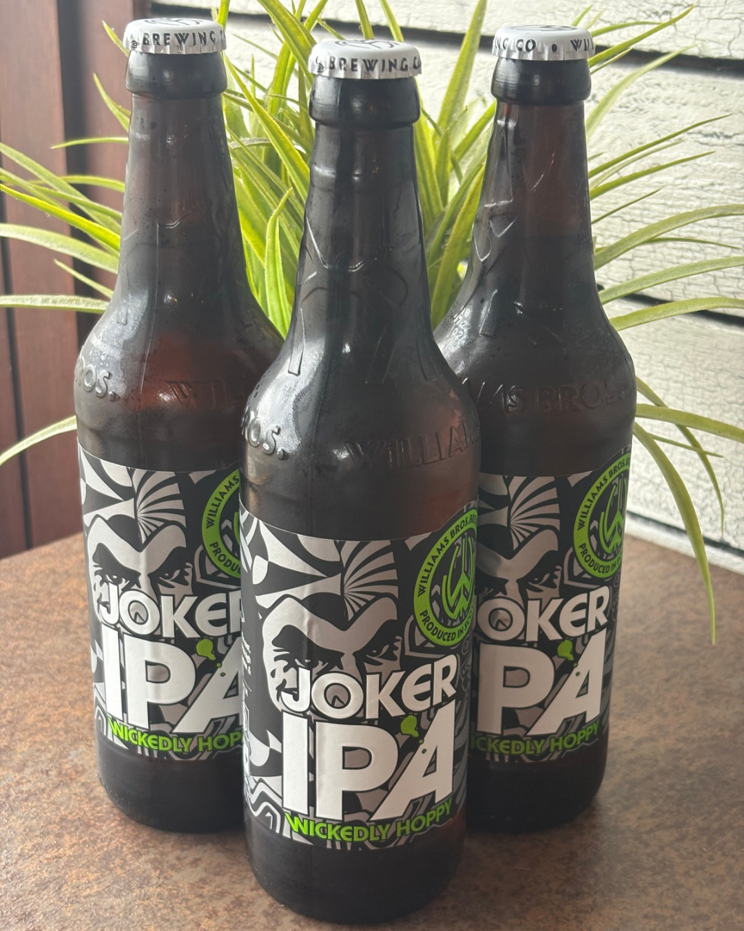 Untitled design 11.PNG