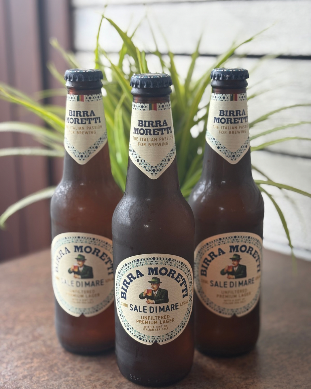 Untitled design 10.PNG