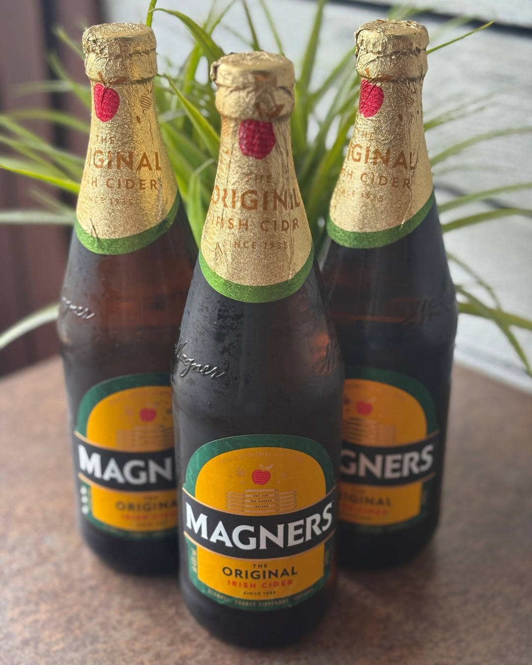 Untitled design 16.PNG