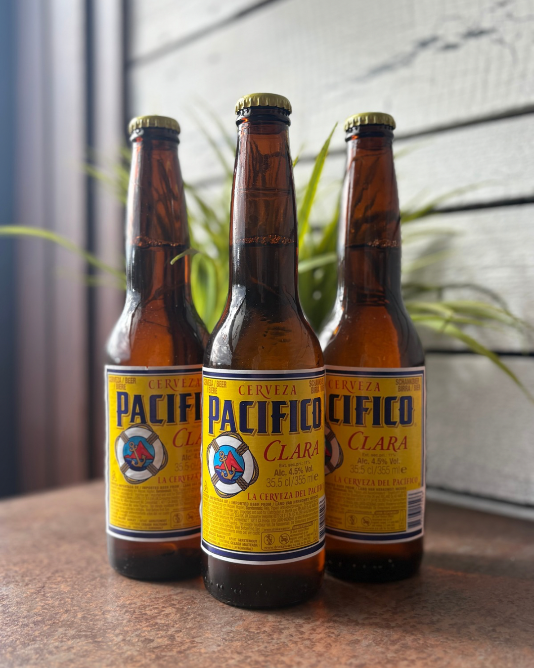 Untitled design 9.PNG