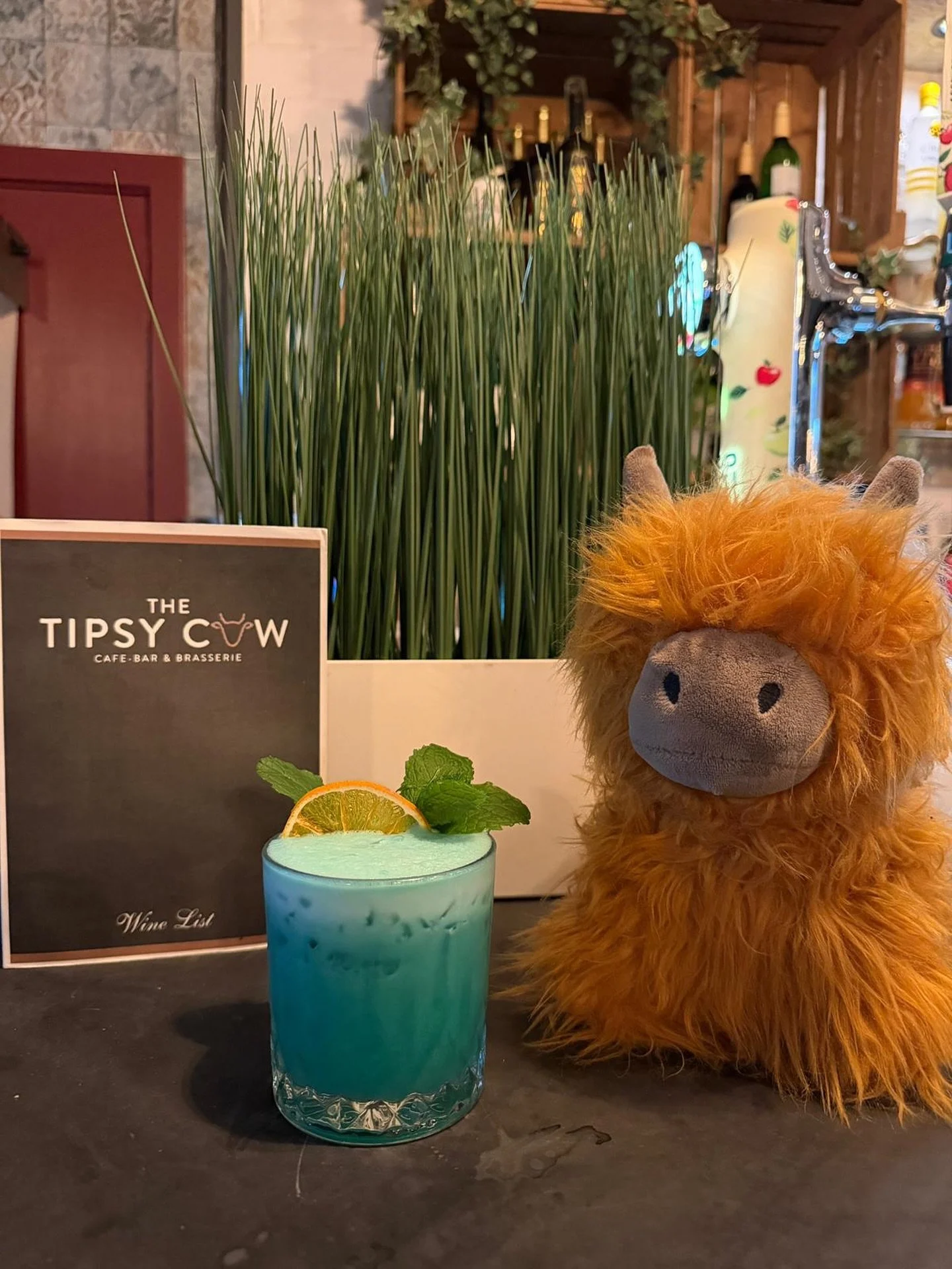 Cocktail of the Week at The Tipsy Cow 🍹🐄

Meet the Blue Coconut Mai Tai&hellip; a tropical little beauty that tastes like a holiday in a glass 🌴

Pop in and give it a try while it&rsquo;s our Cocktail of the Week ✨

#tipsycow #cocktailoftheweek