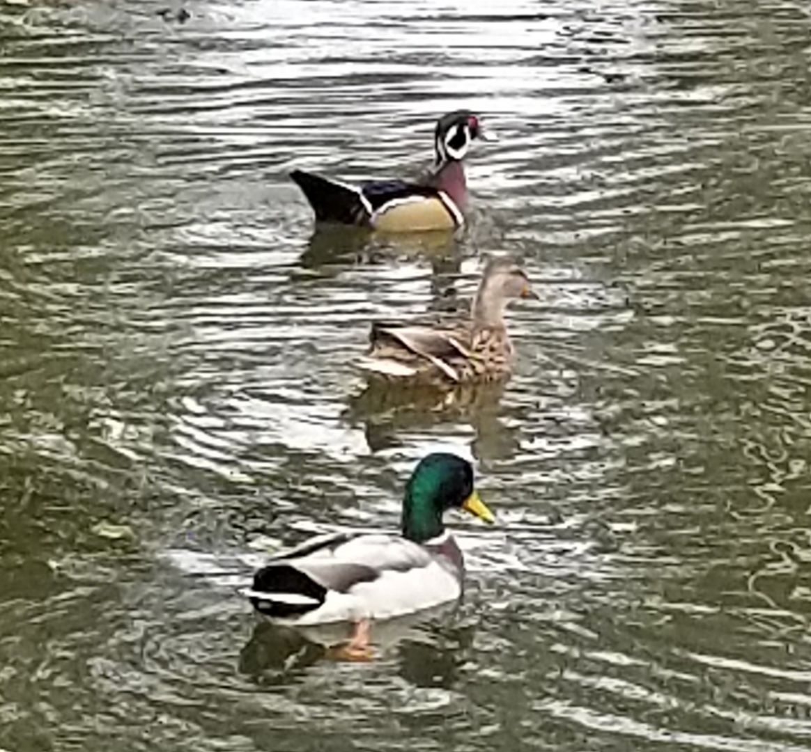 20181028_175359.jpeg