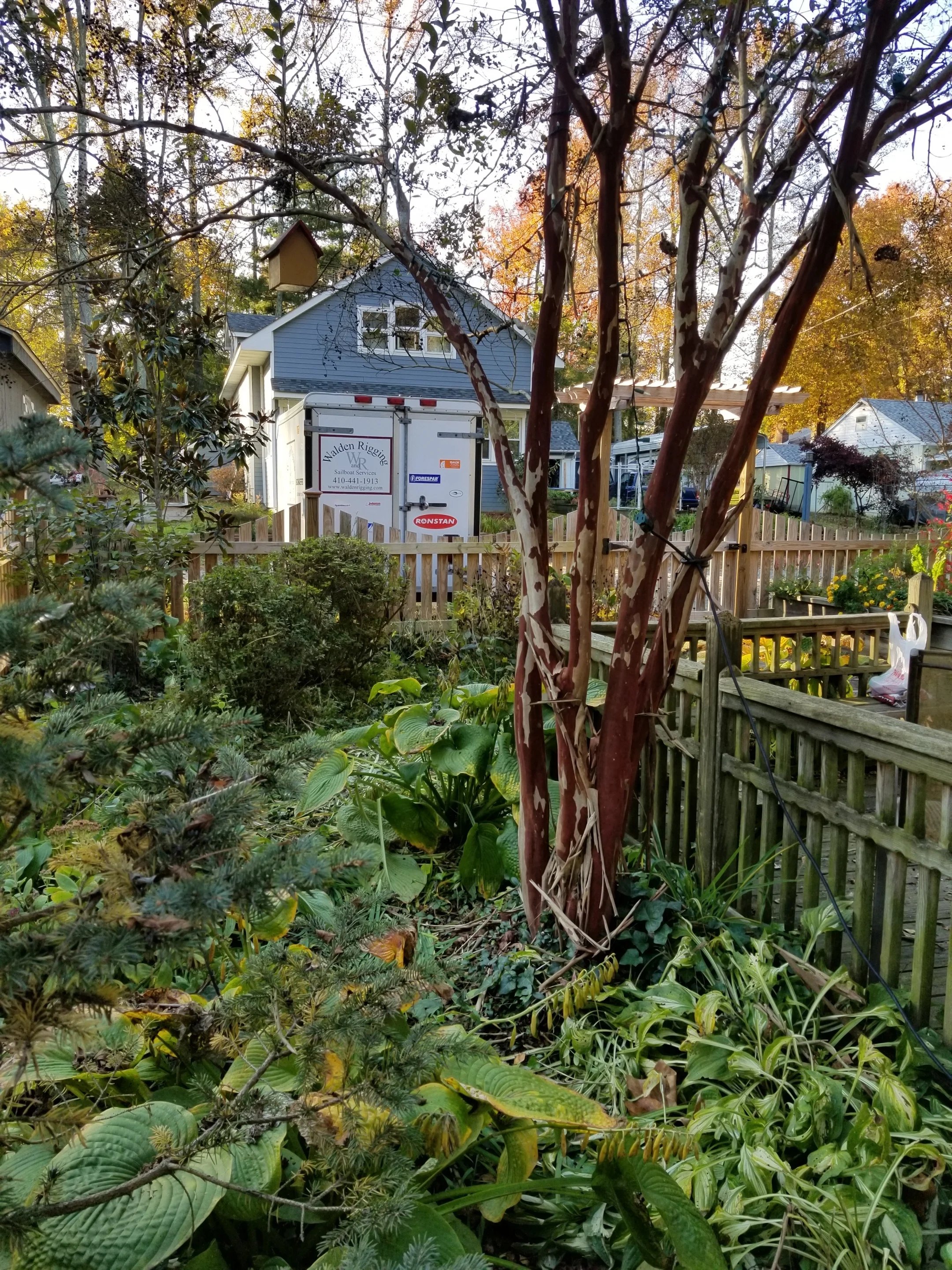 20181031_162616.jpg