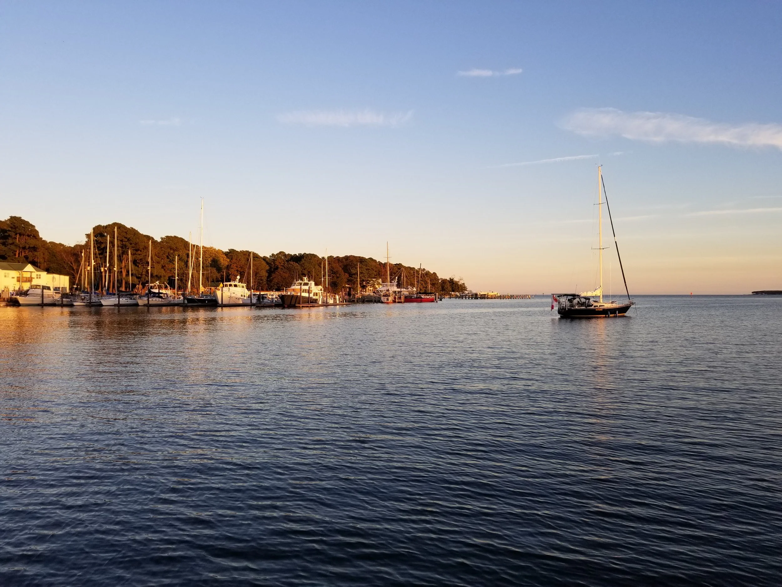 20181107_164324.jpg