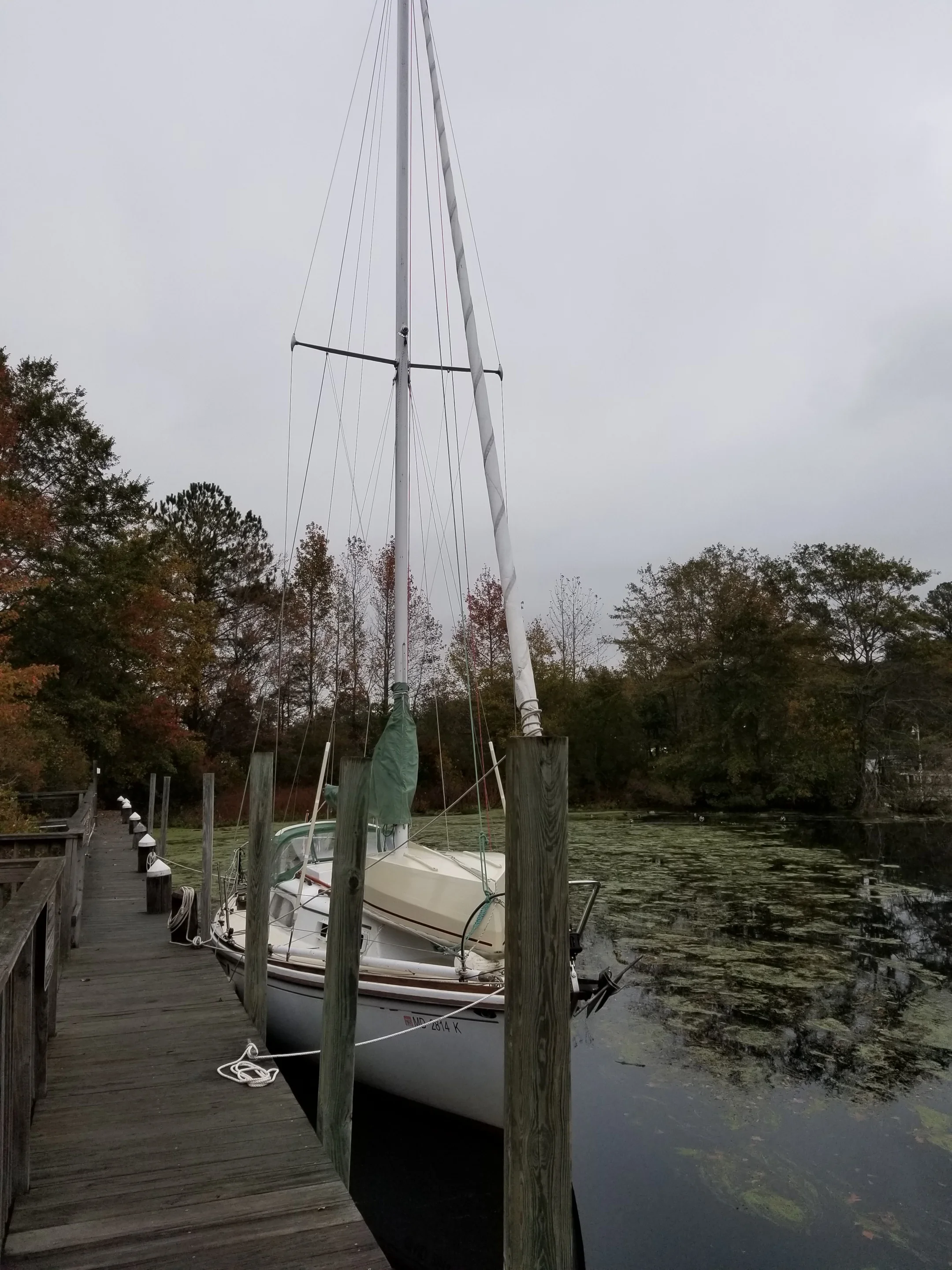 20181110_074542.jpg