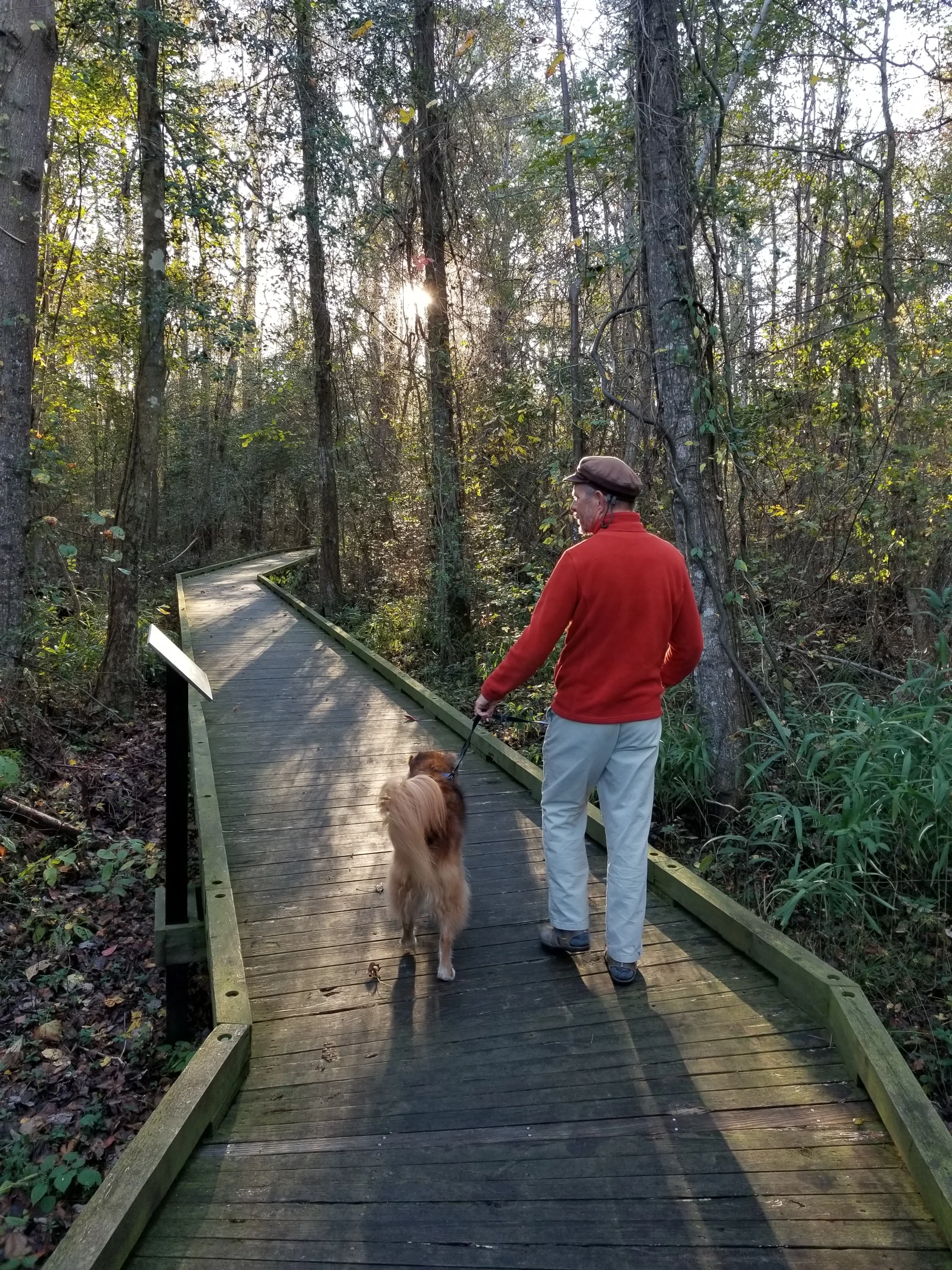 20181110_154920.jpg