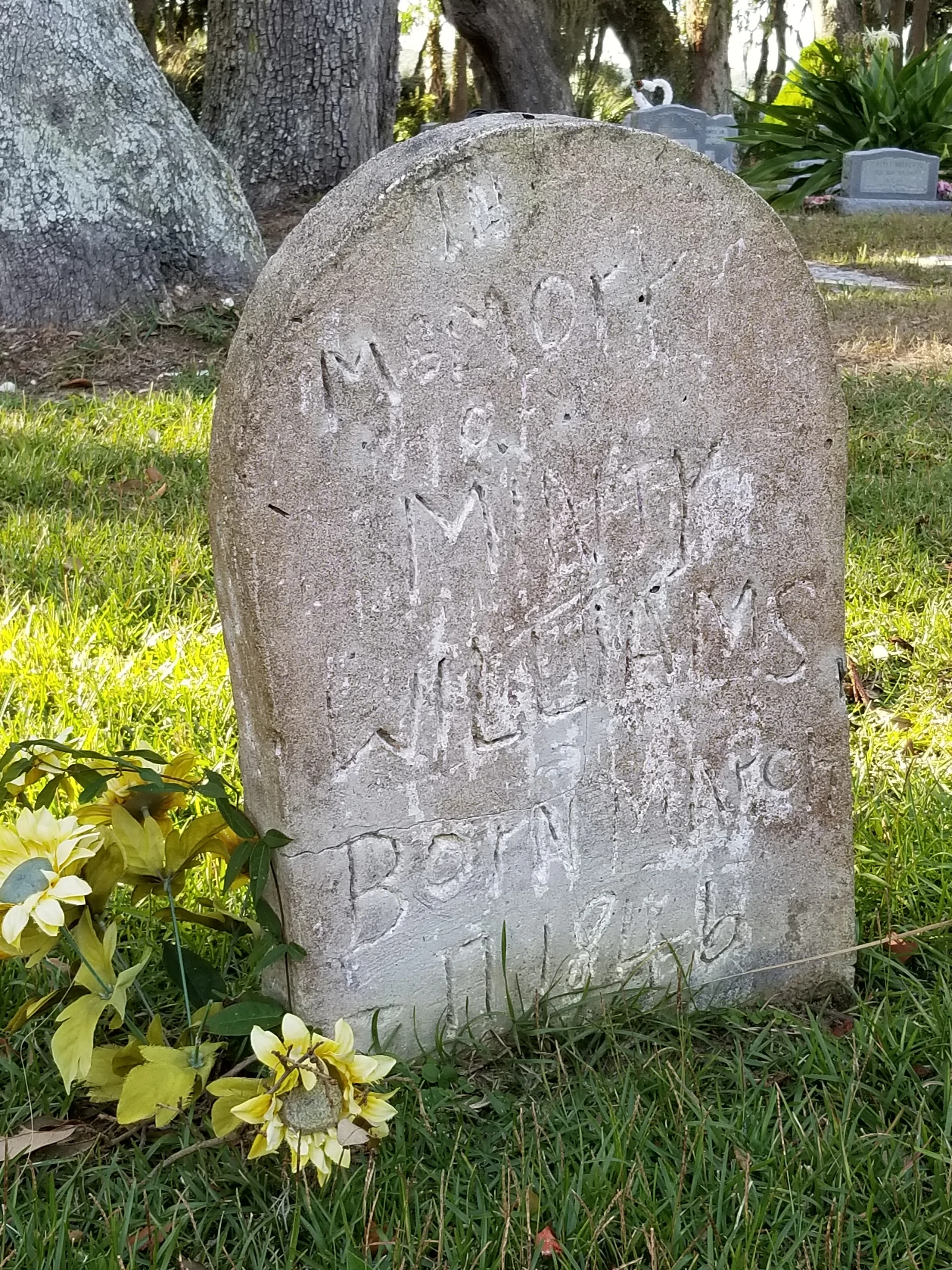 20181130_145813.jpg