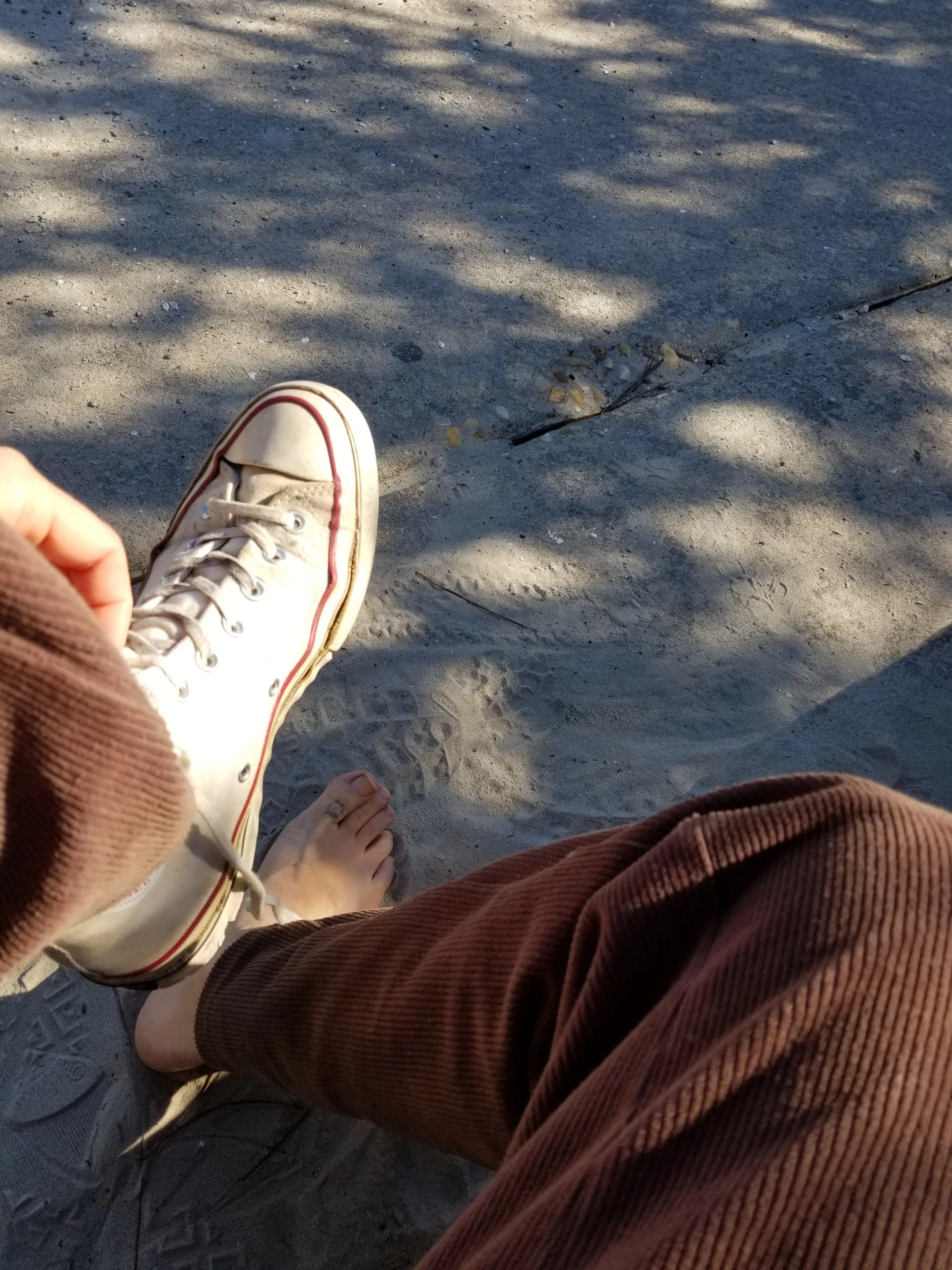 20181207_111203.jpg