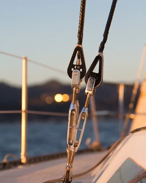 Photo credit: Colligo Marine