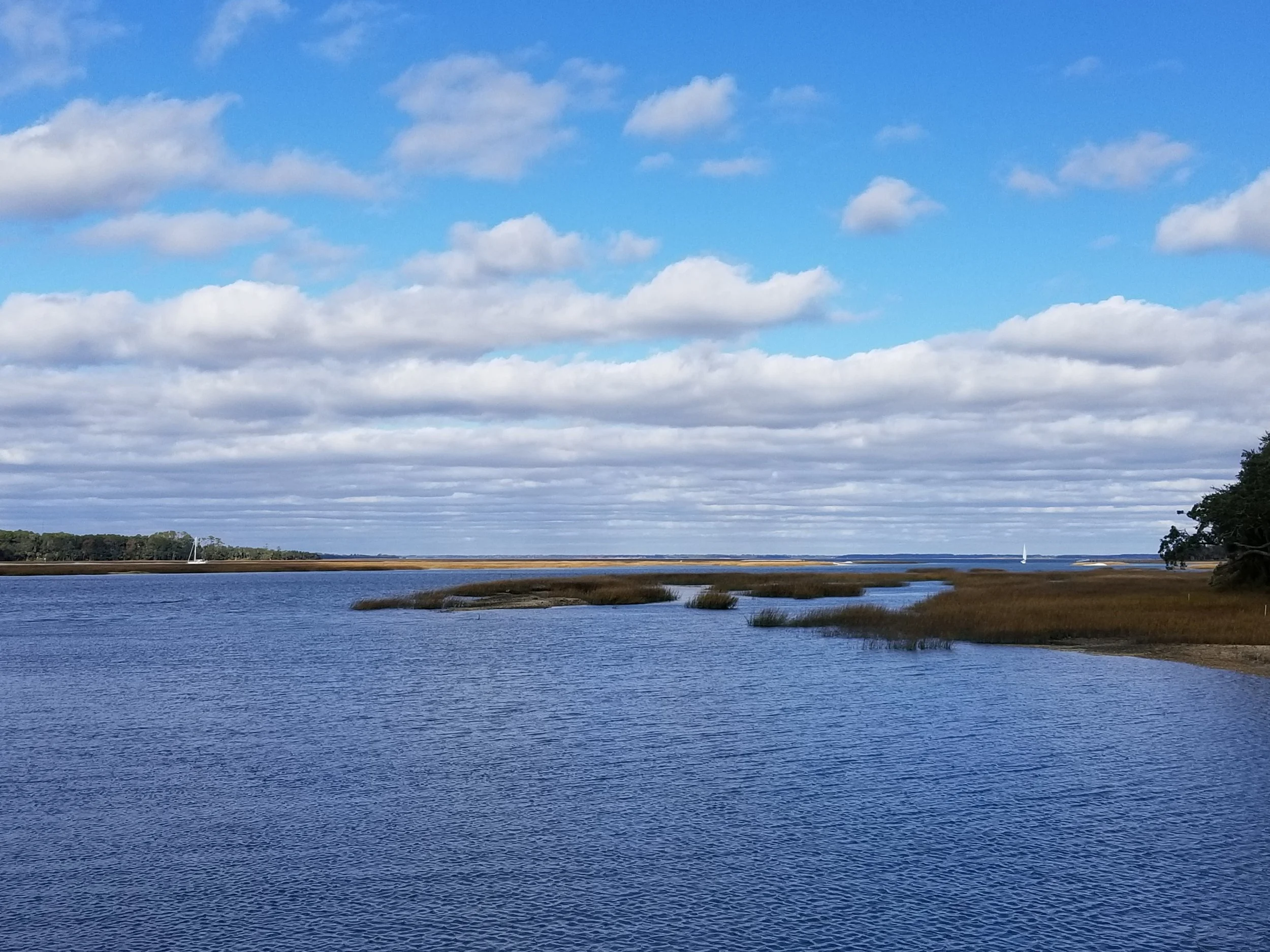 A day so beautiful, my heart ached to see the sailboats going out while we wait at the dock for repairs.