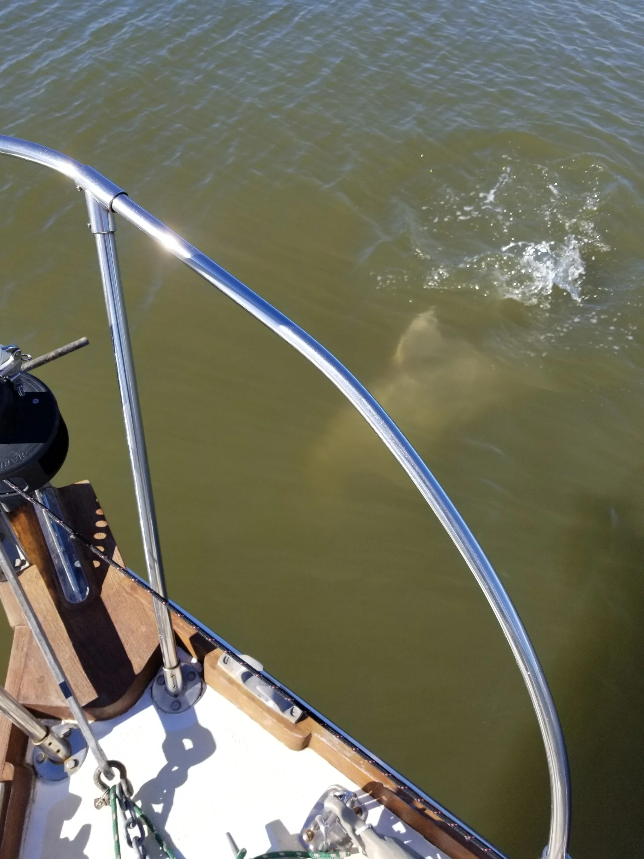 A dolphin dives under Grace’s bow as we clear the fairway - good luck!