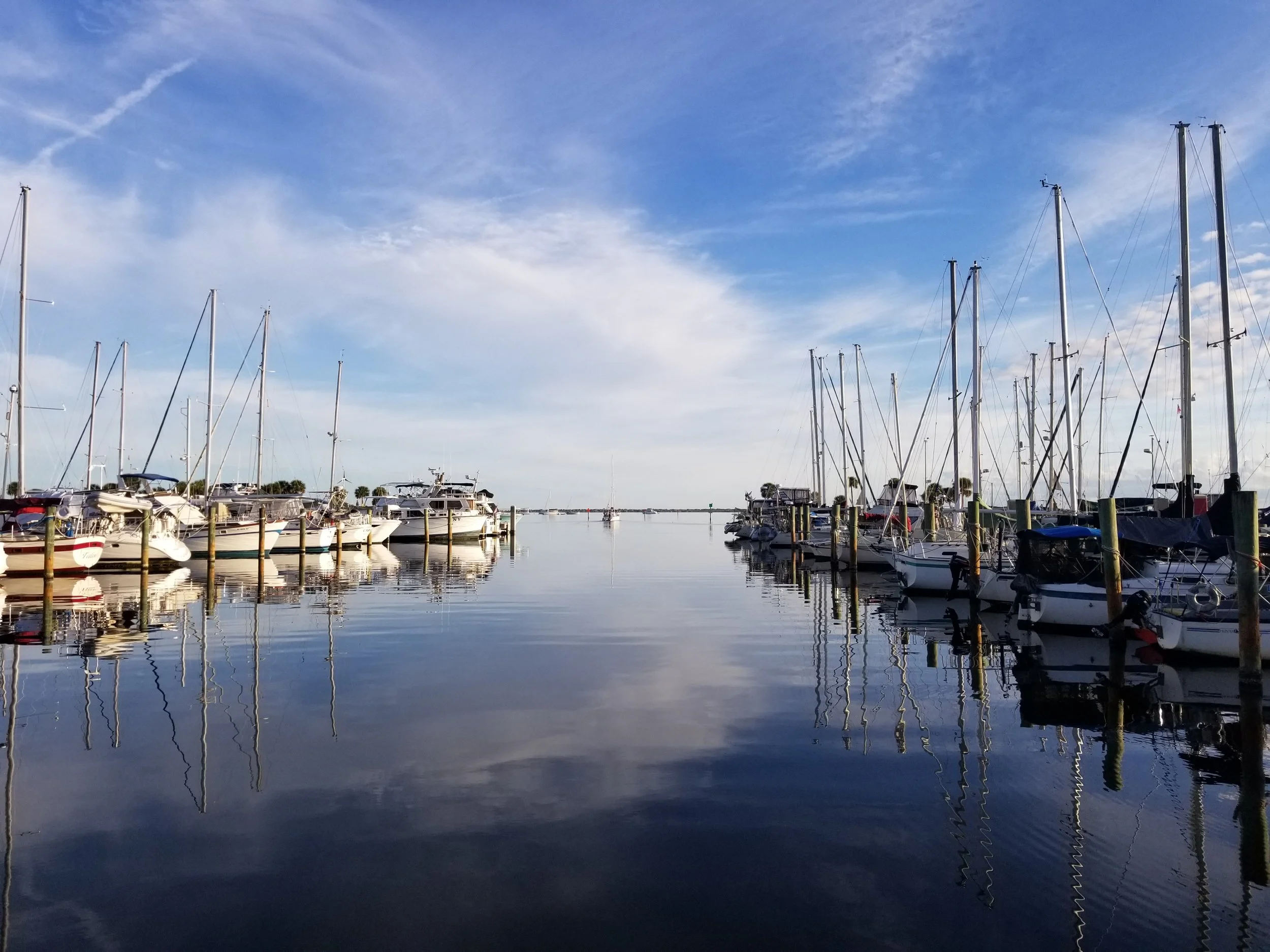 20190108_081241.jpg