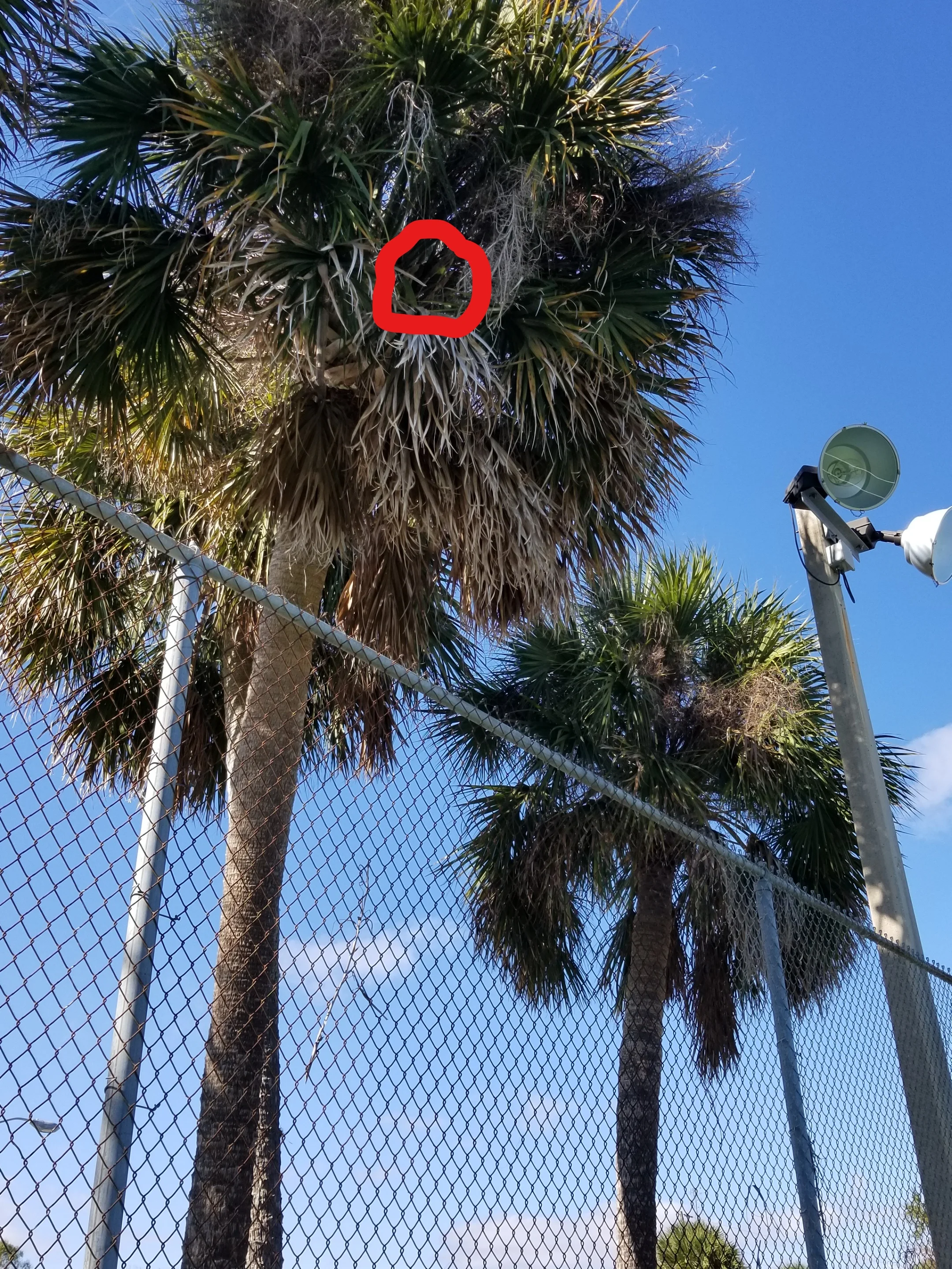 A wild return from Dobbs put us one tennis ball down.