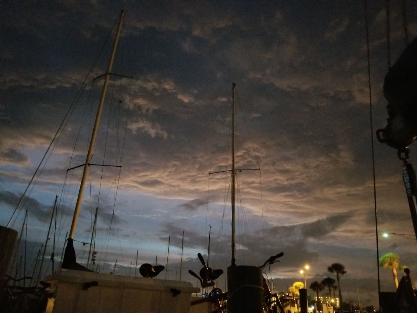 Resized_20190124_064044_2834.jpeg
