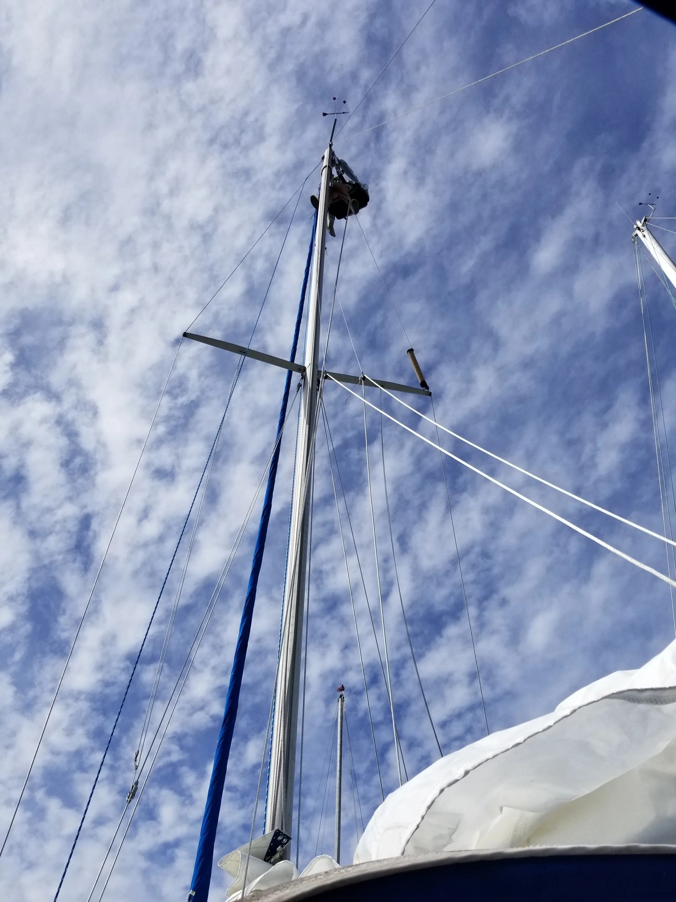 20190215_144319.jpg