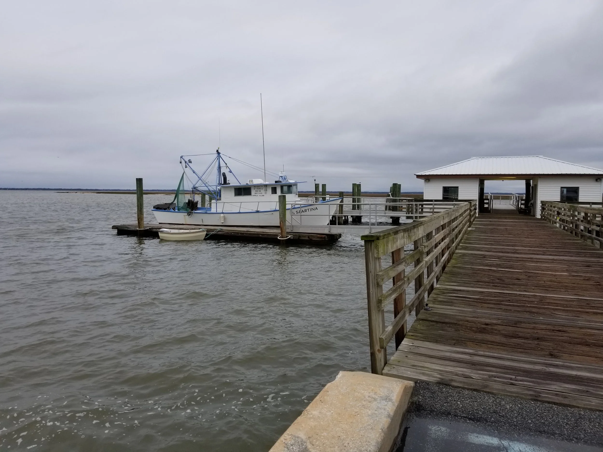 20190304_074439.jpg