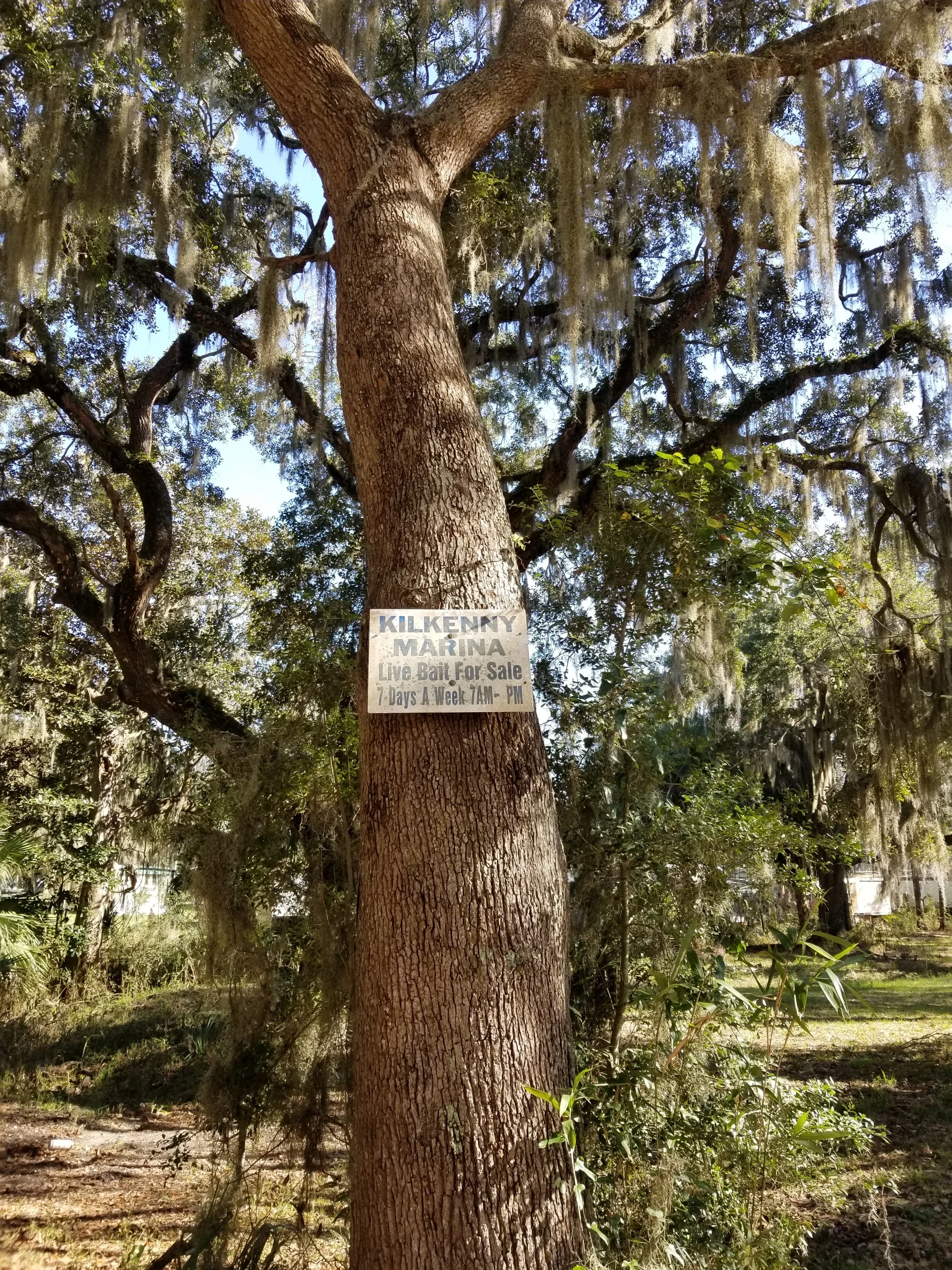20190305_152747.jpg