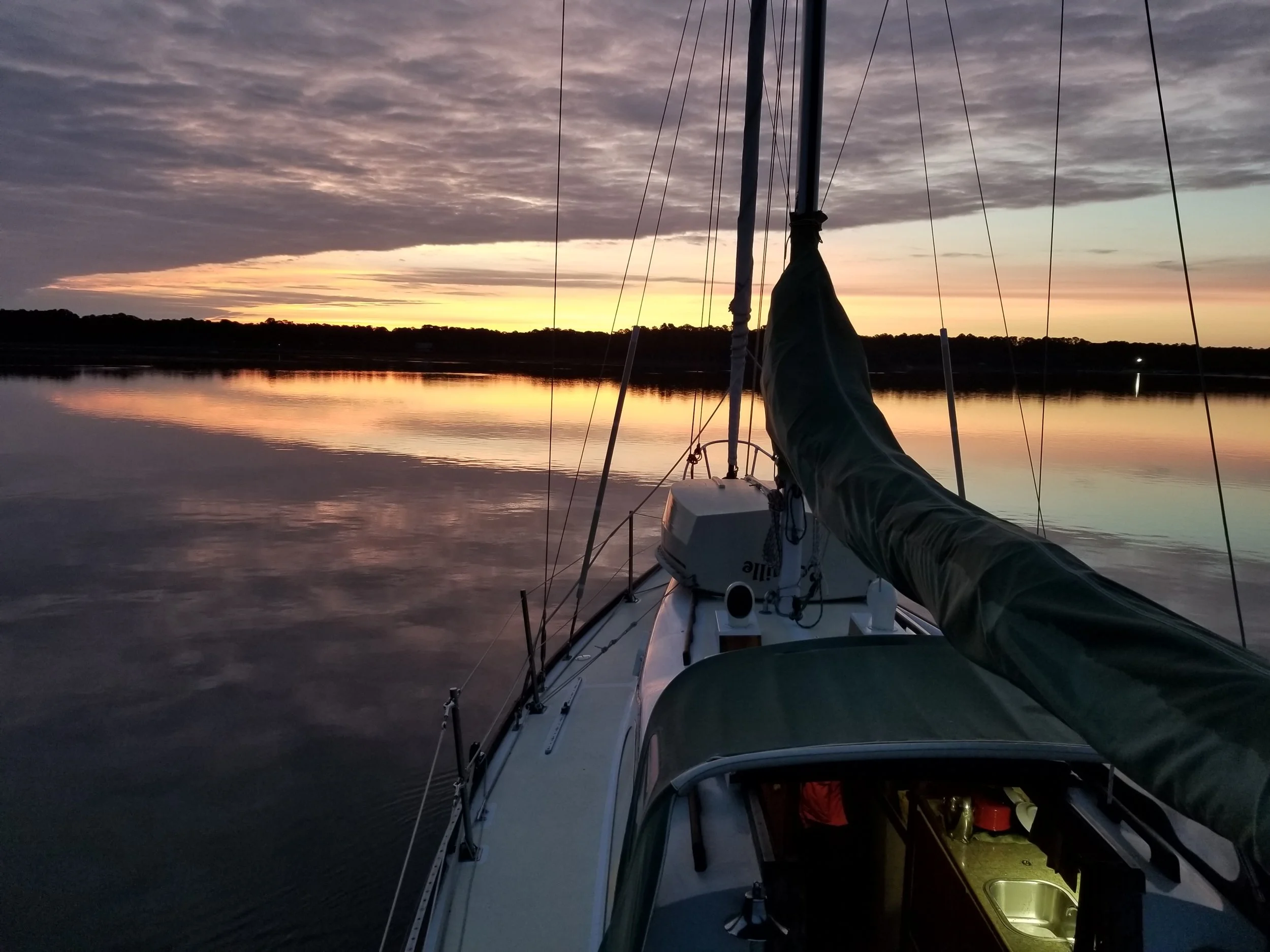 20190308_063100.jpg