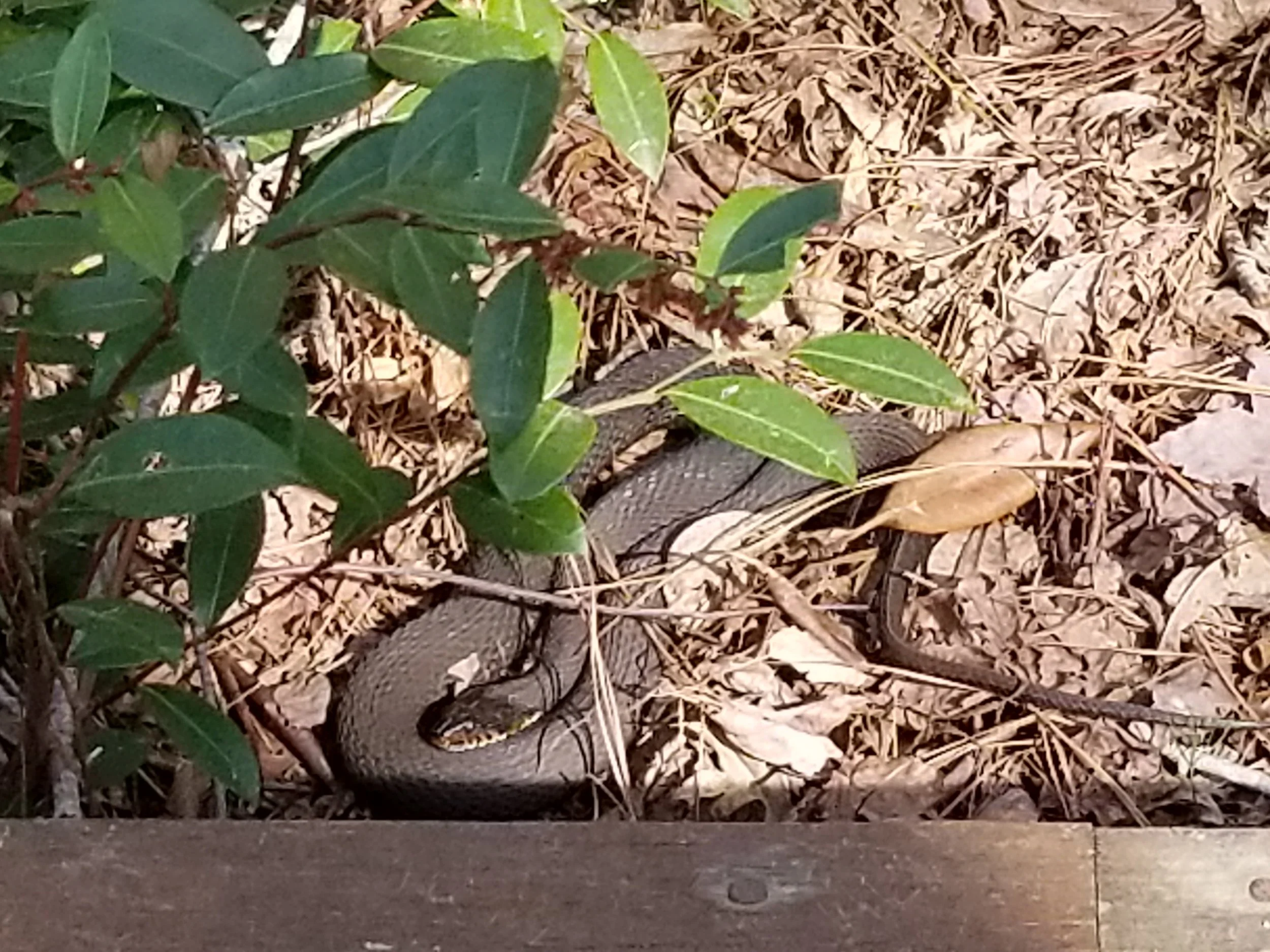 20190325_155521.jpg