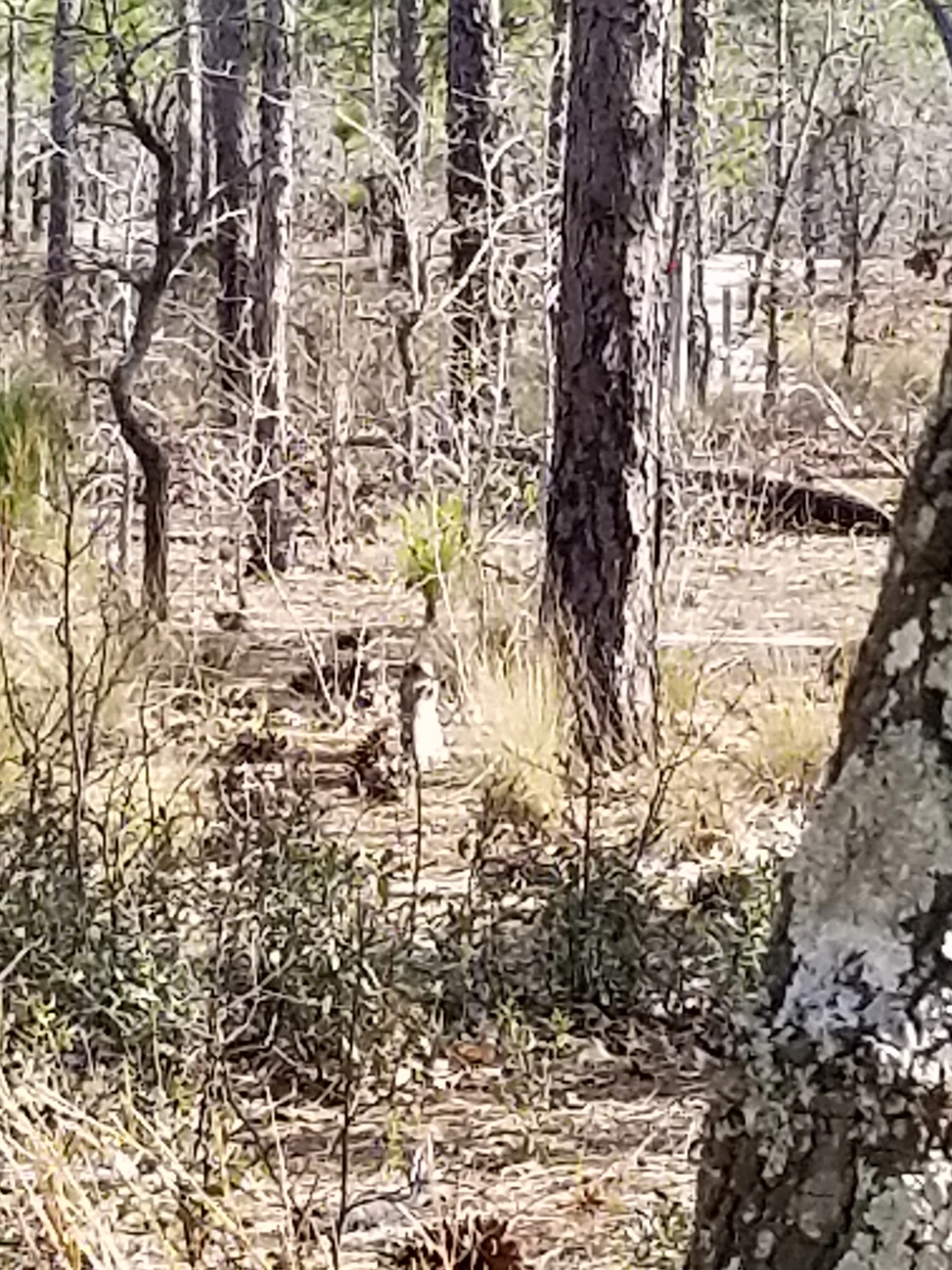 20190325_161938.jpg