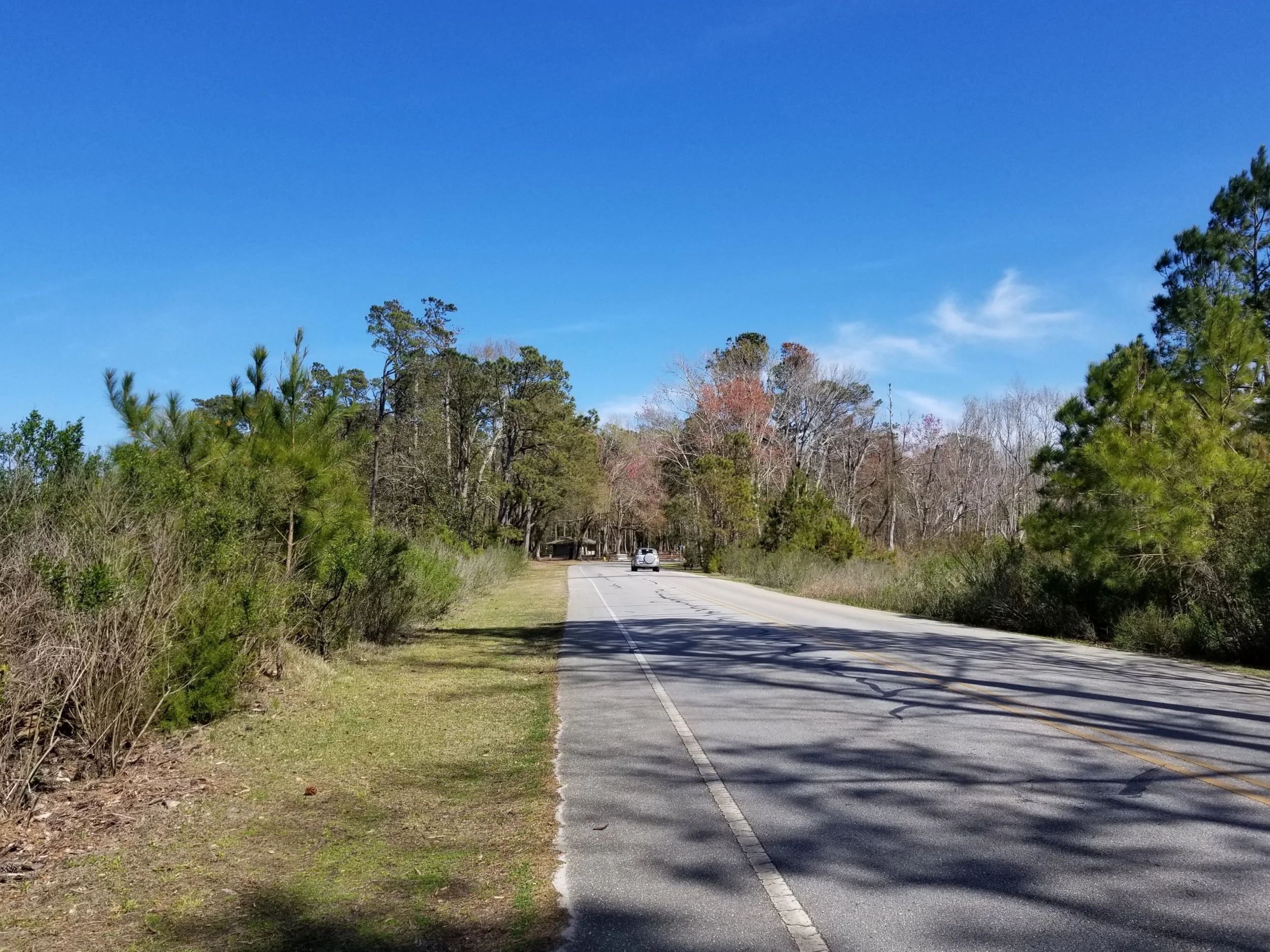 20190327_151801.jpg