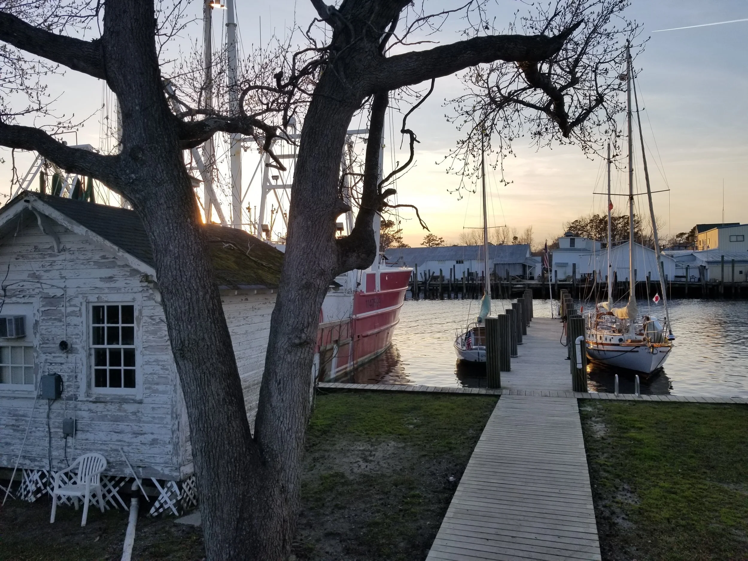 20190329_190409.jpg
