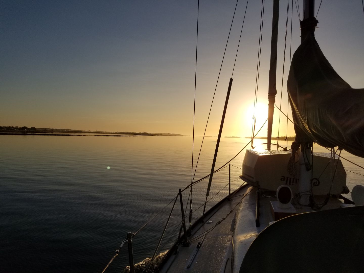 Resized_20190329_072627_1102.jpeg
